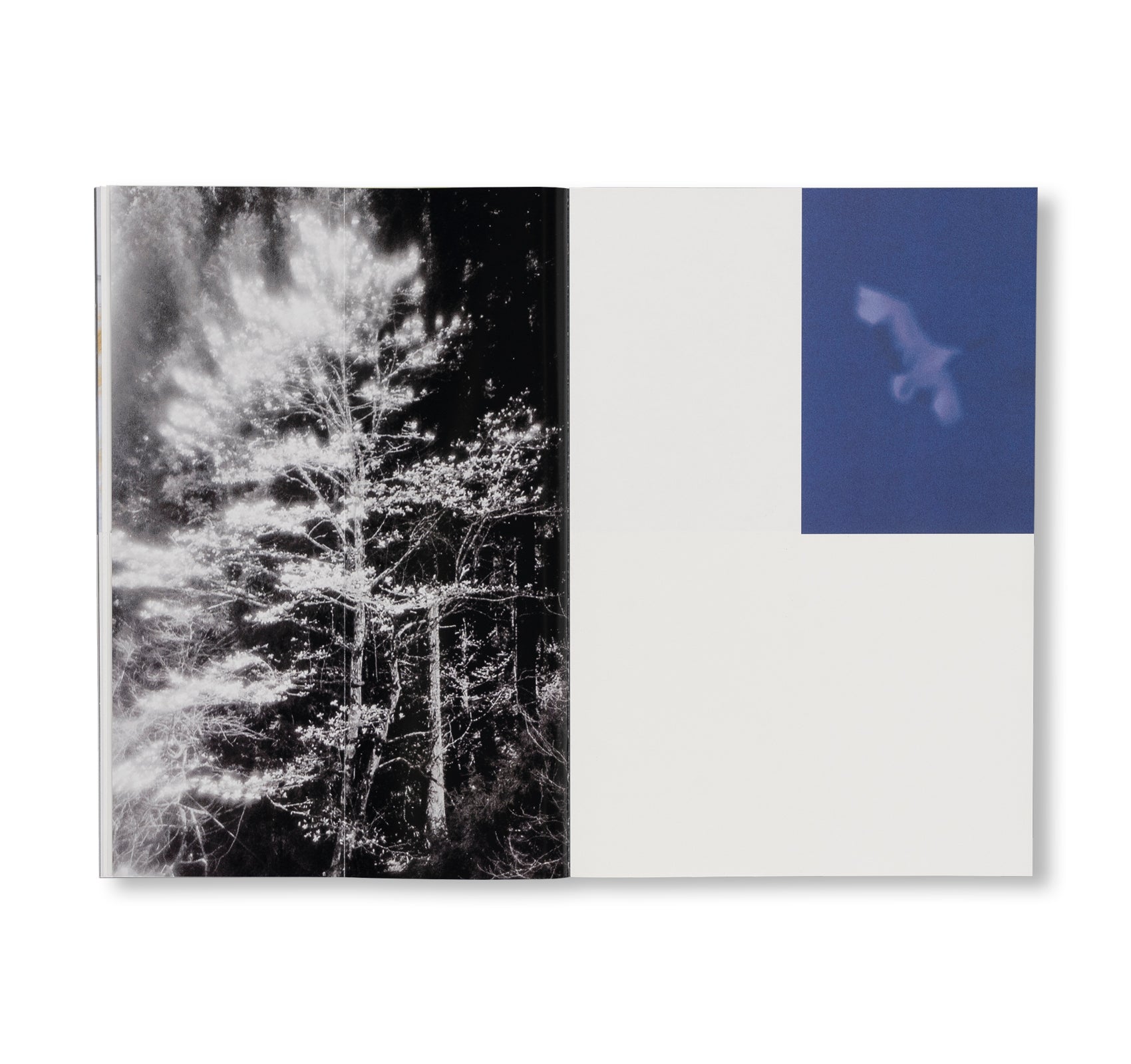 SEQUENCES by Yuichiro Noda