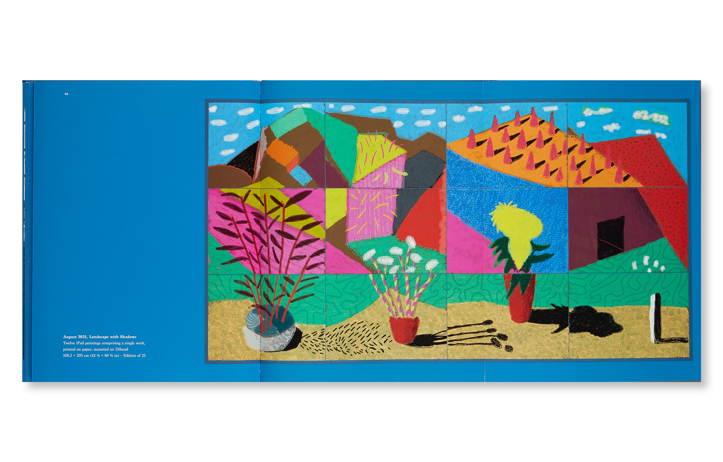 20 FLOWERS AND SOME BIGGER PICTURES by David Hockney
