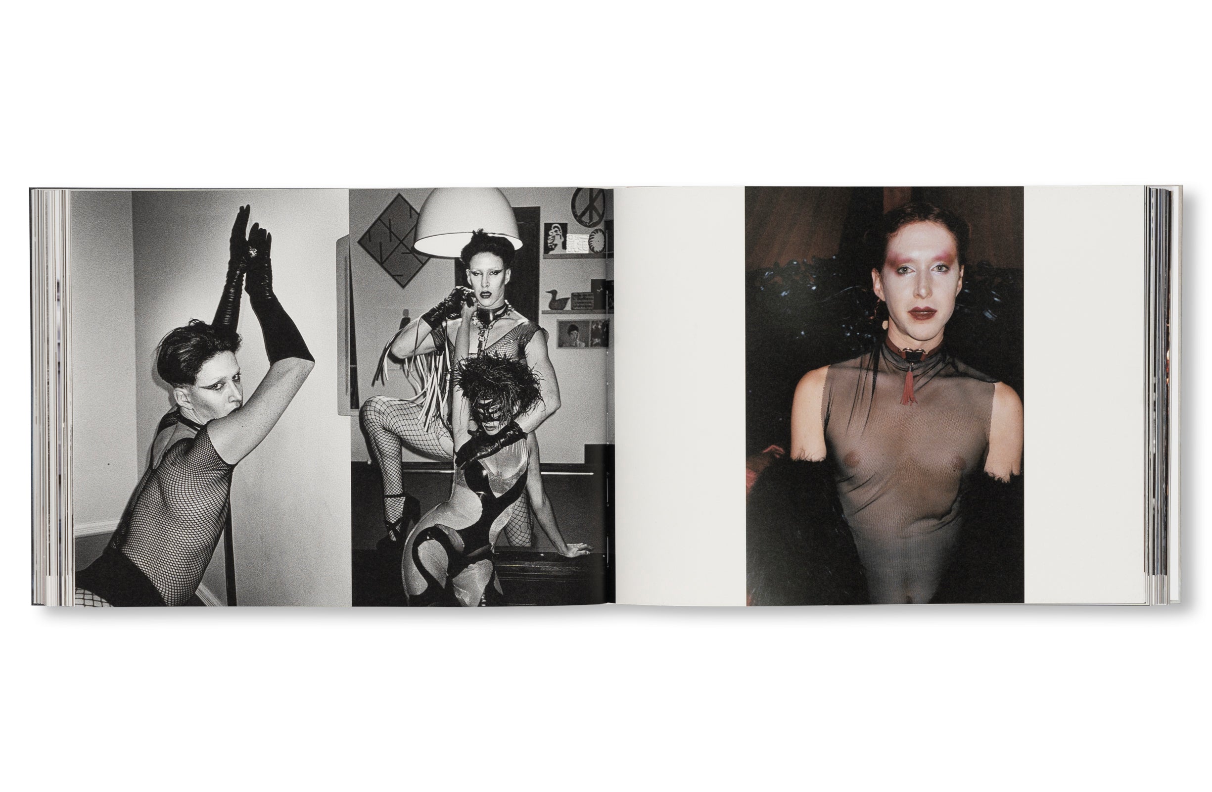 DANCING ON THE FAULT LINE by Nick Haymes