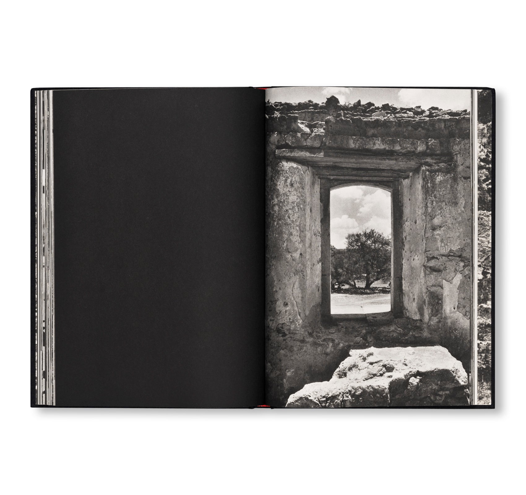 OUT OF THE SIXTIES by Dennis Hopper