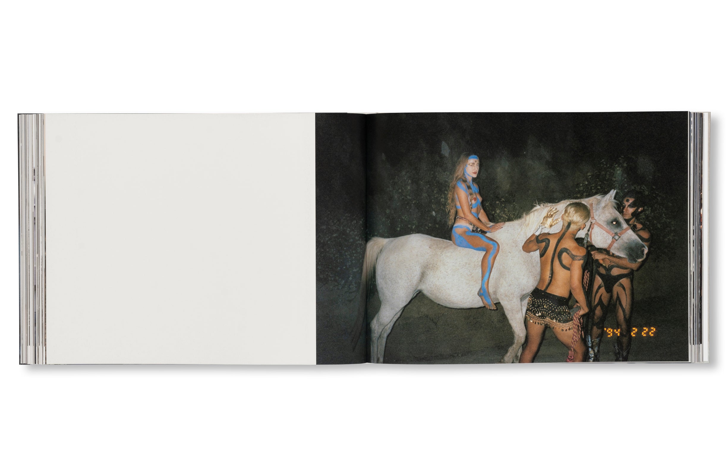 DANCING ON THE FAULT LINE by Nick Haymes