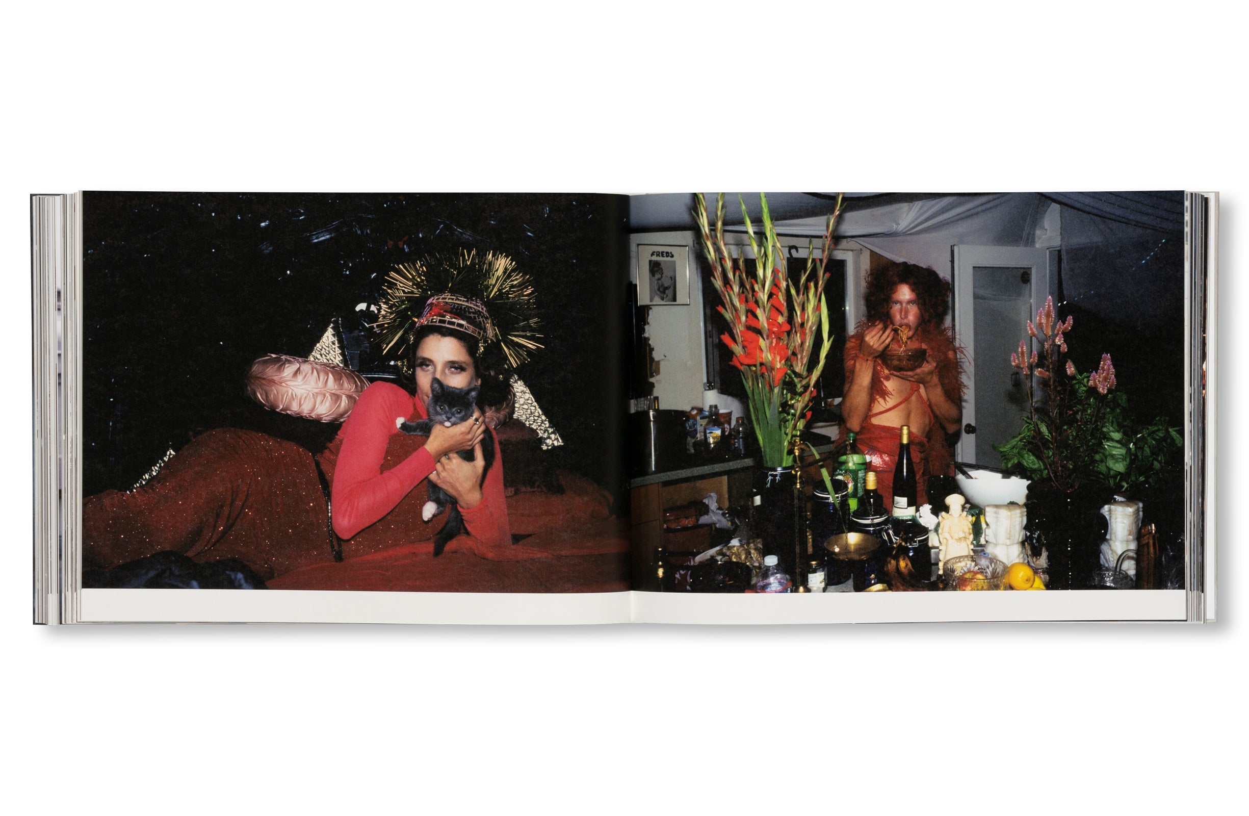DANCING ON THE FAULT LINE by Nick Haymes