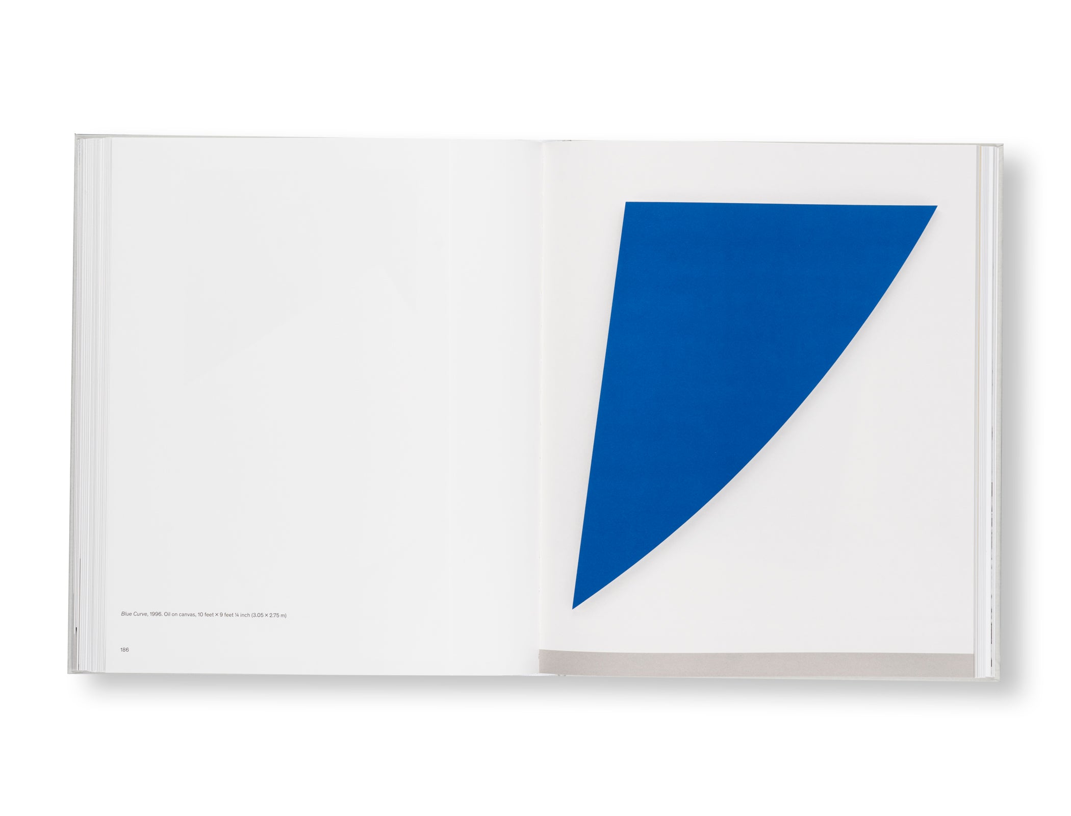 ELLSWORTH KELLY (2023) by Ellsworth Kelly