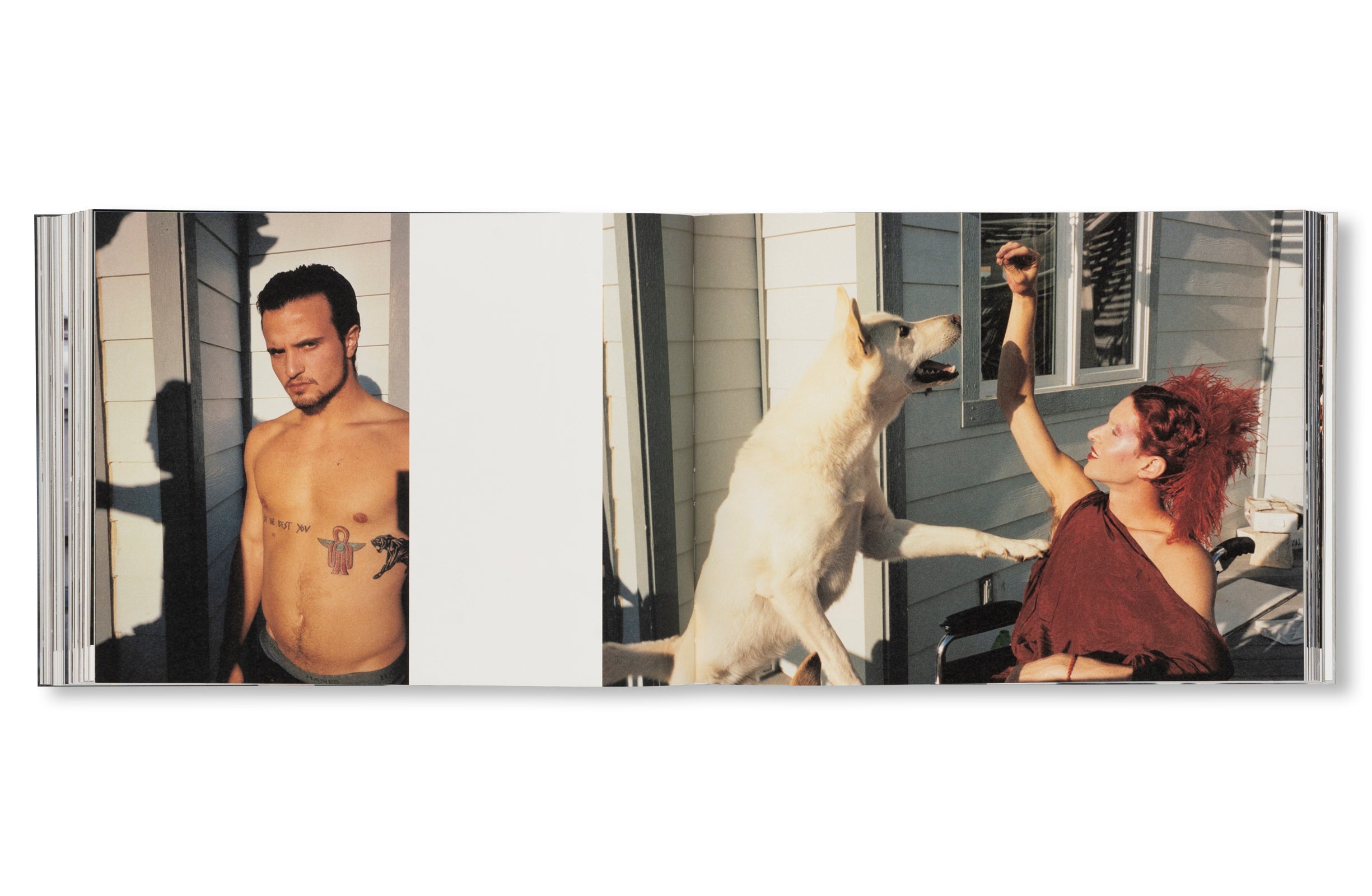 DANCING ON THE FAULT LINE by Nick Haymes