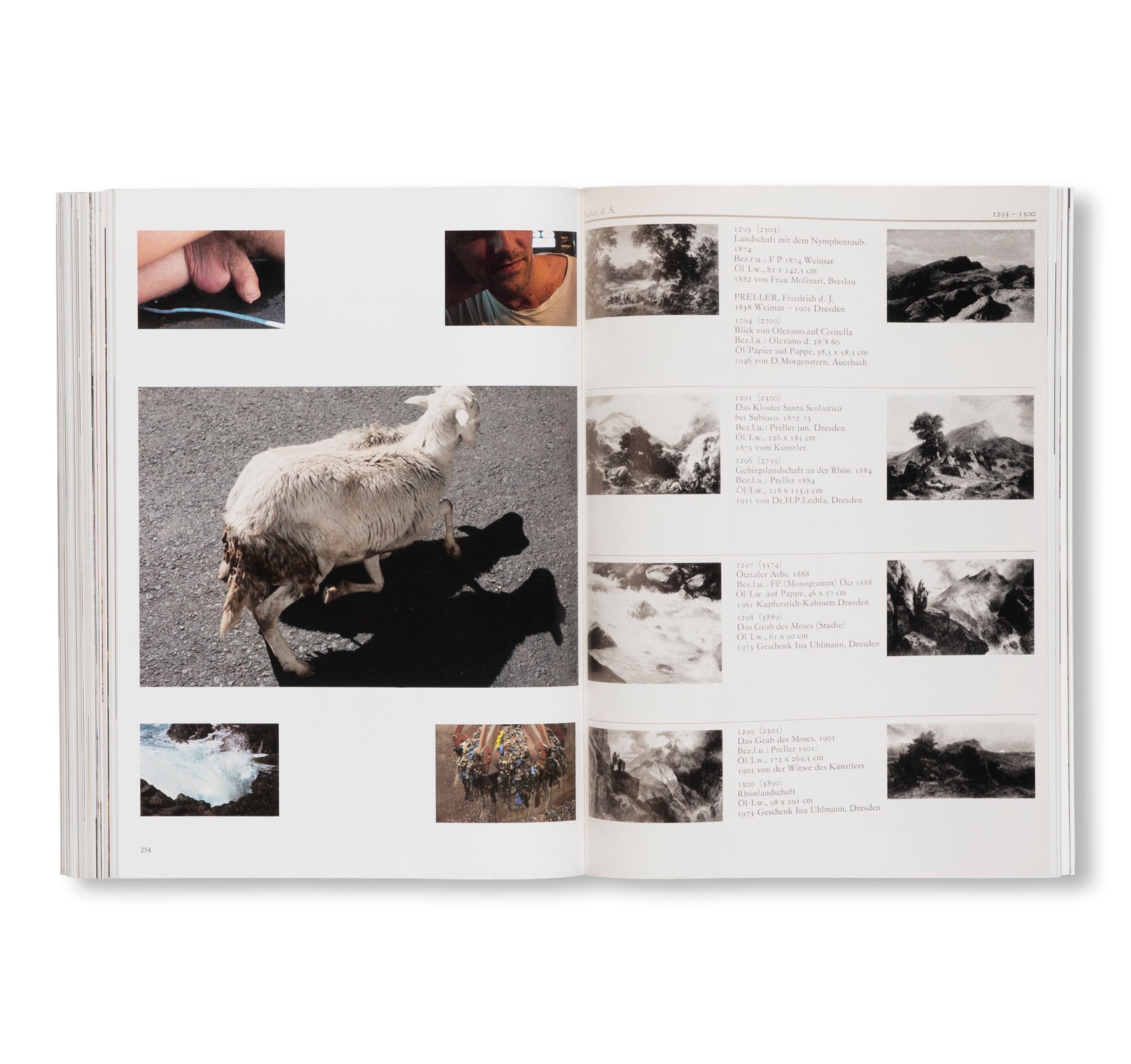 WOLFGANG TILLMANS: THINGS MATTER, DINGE ZÄHLEN by Wolfgang Tillmans