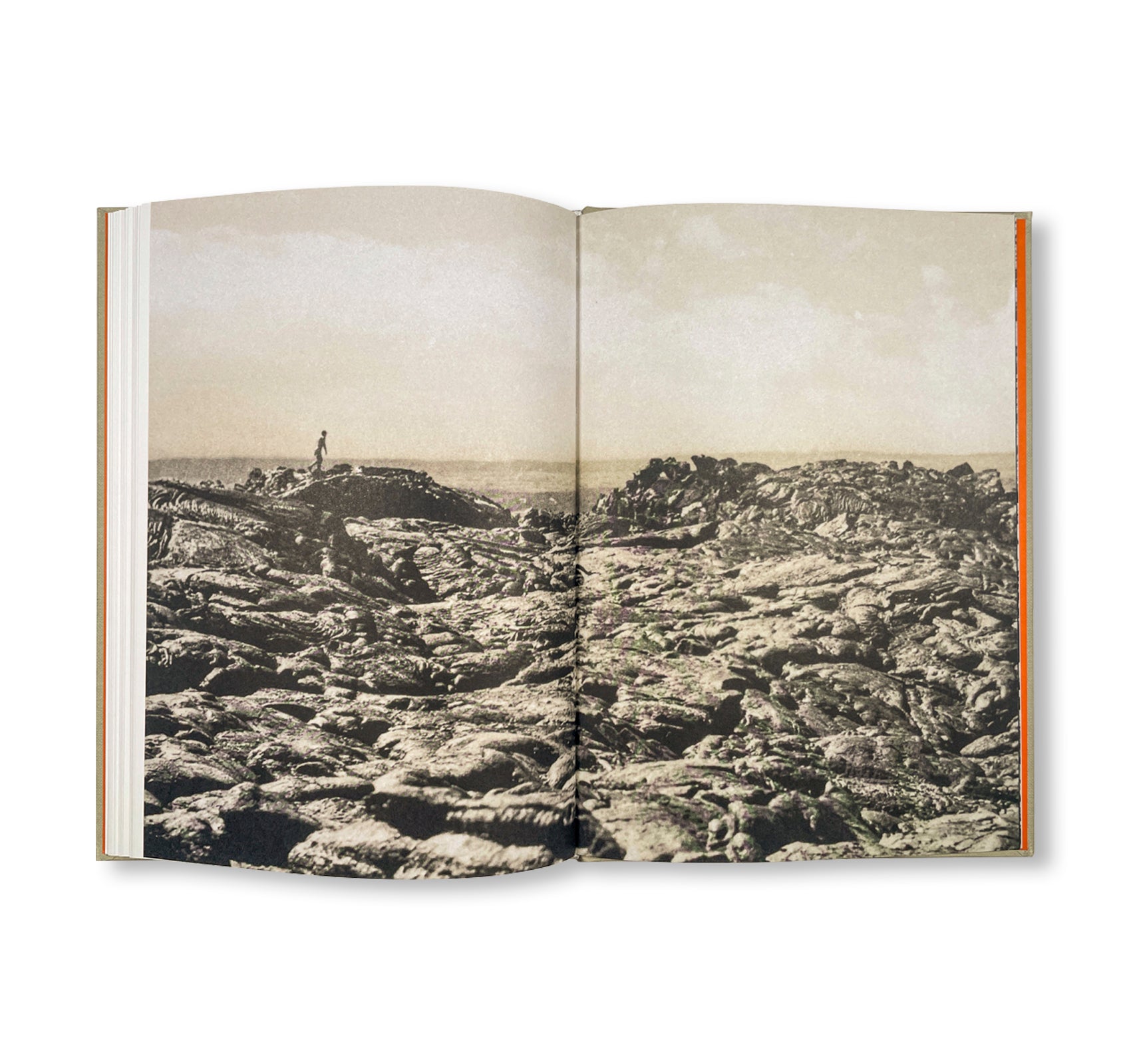 THE LOTTERY by Melissa Catanese