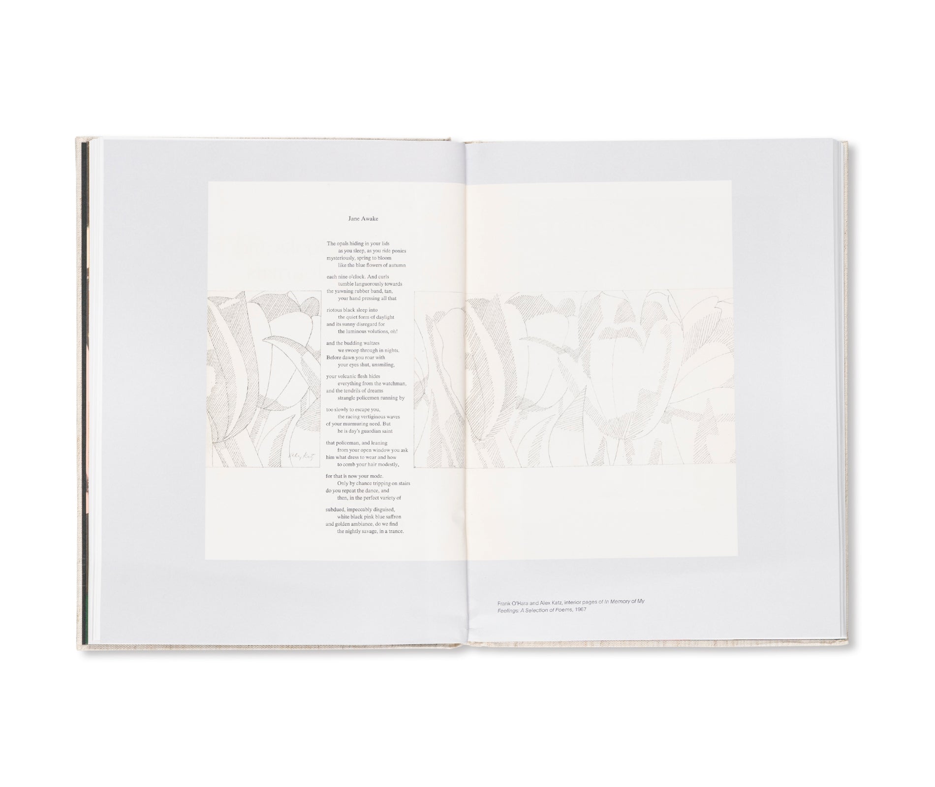 COLLABORATIONS WITH POETS by Alex Katz