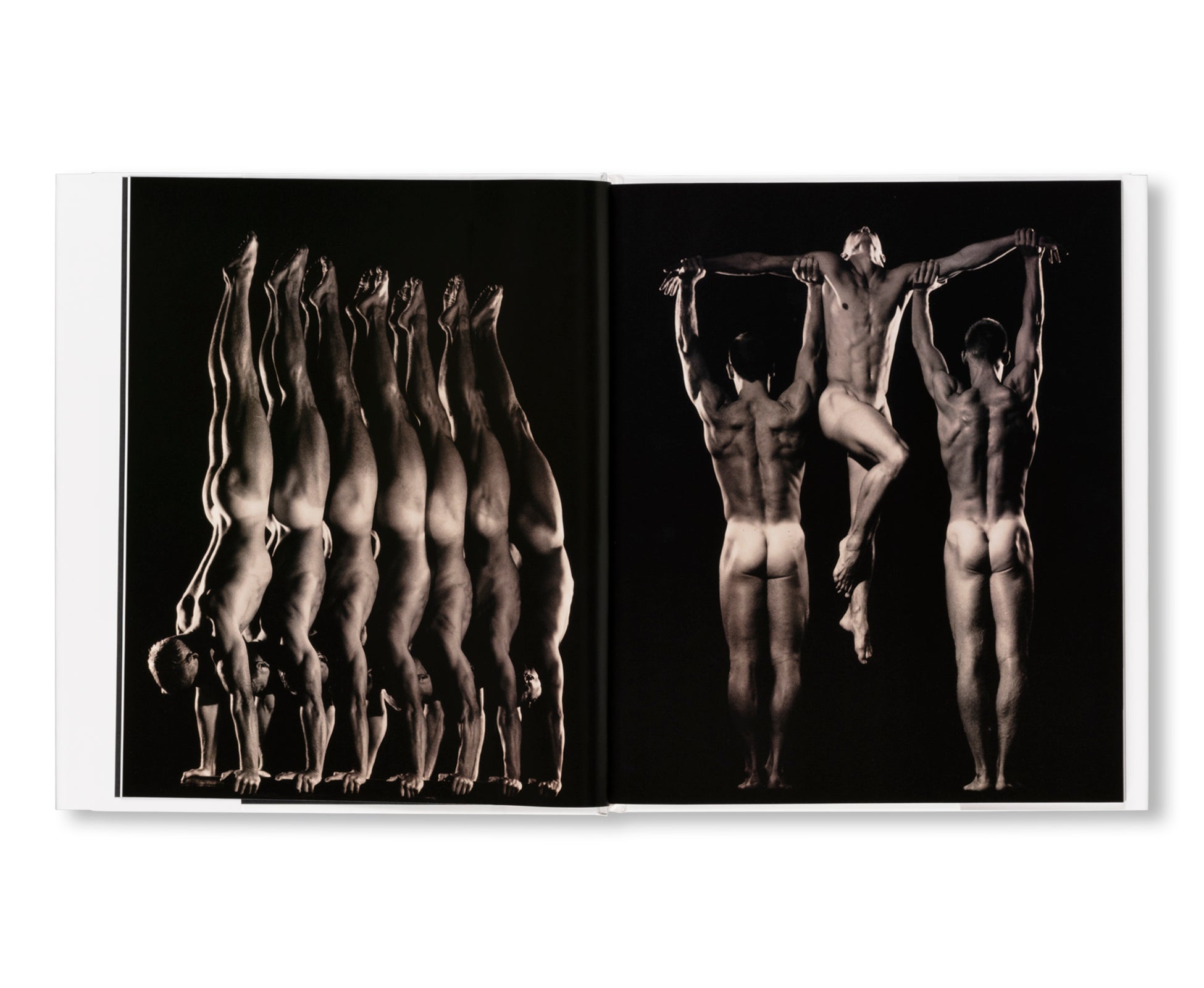 ATHLETES & GYMNASTS by Anderson & Low