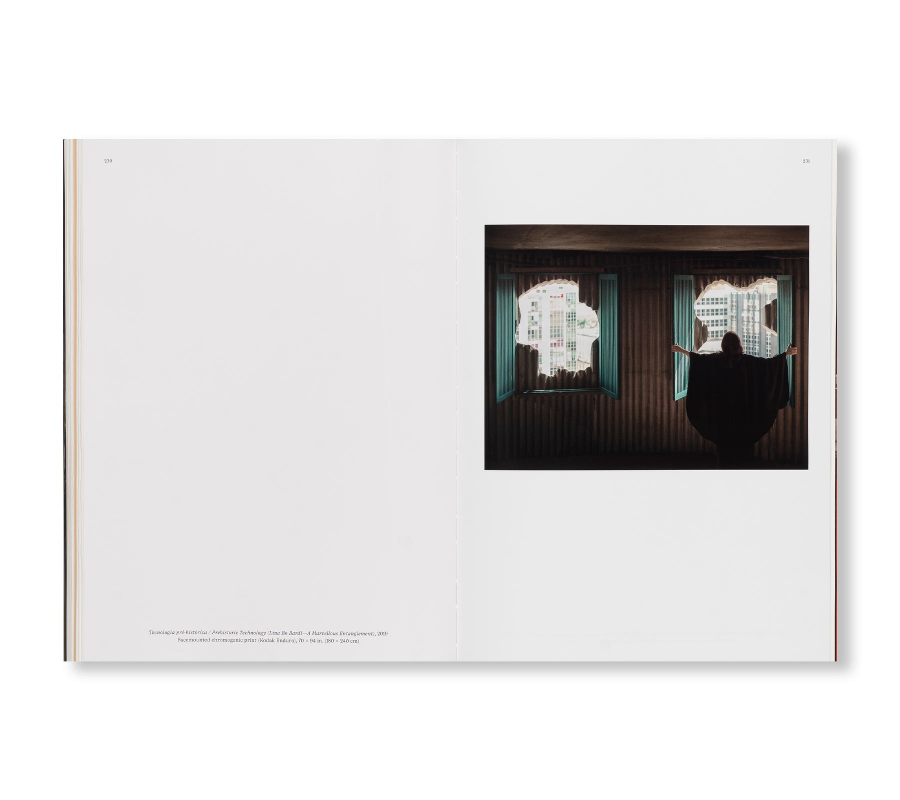 LINA BO BARDI - A MARVELLOUS ENTANGLEMENT by Isaac Julien