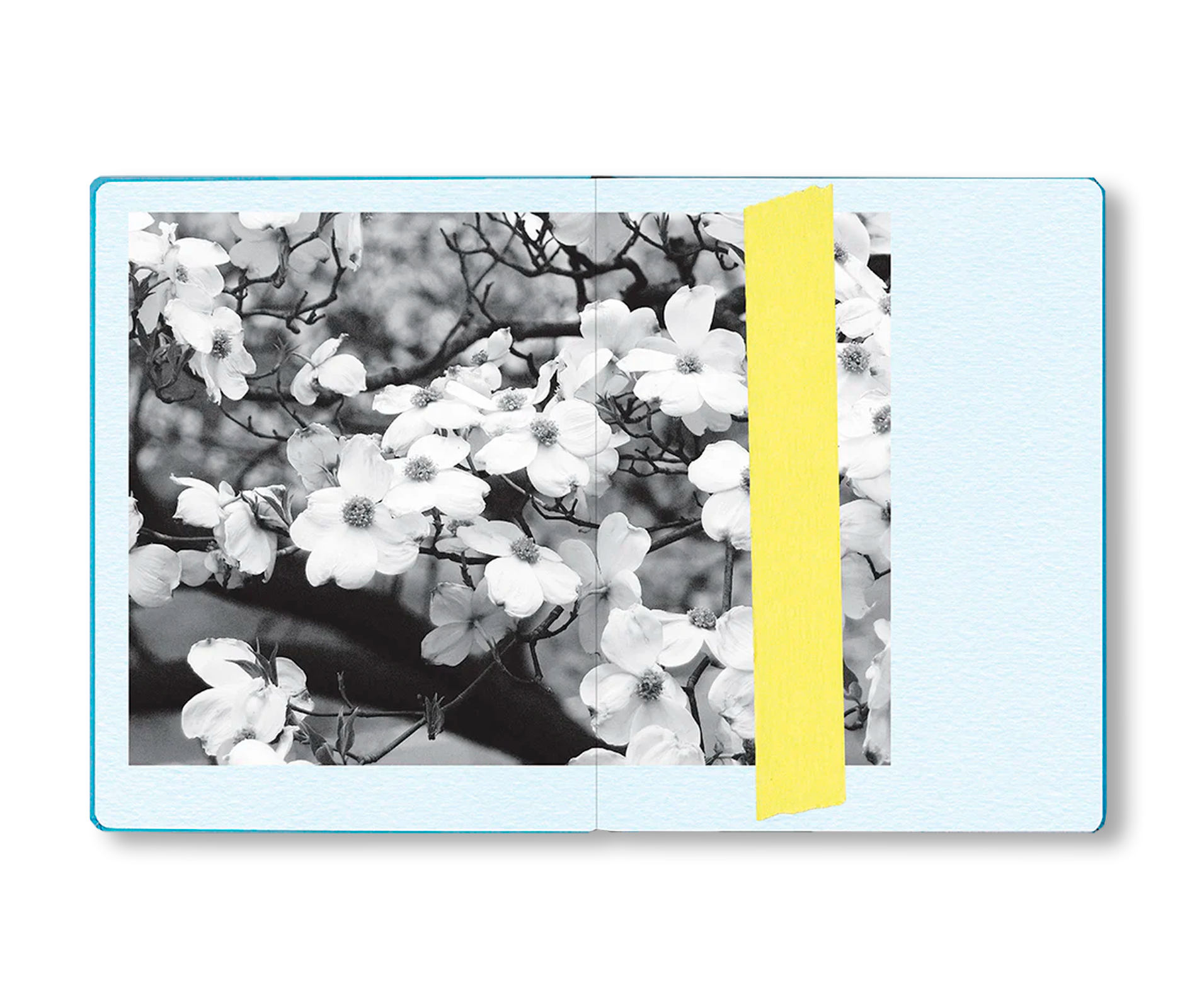 THE IMPORTANT FLOWERS PLANNER 2026 by Sofia Coppola