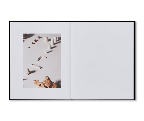THINGS THAT GO TOGETHER by Michael Anastassiades [SOFTCOVER