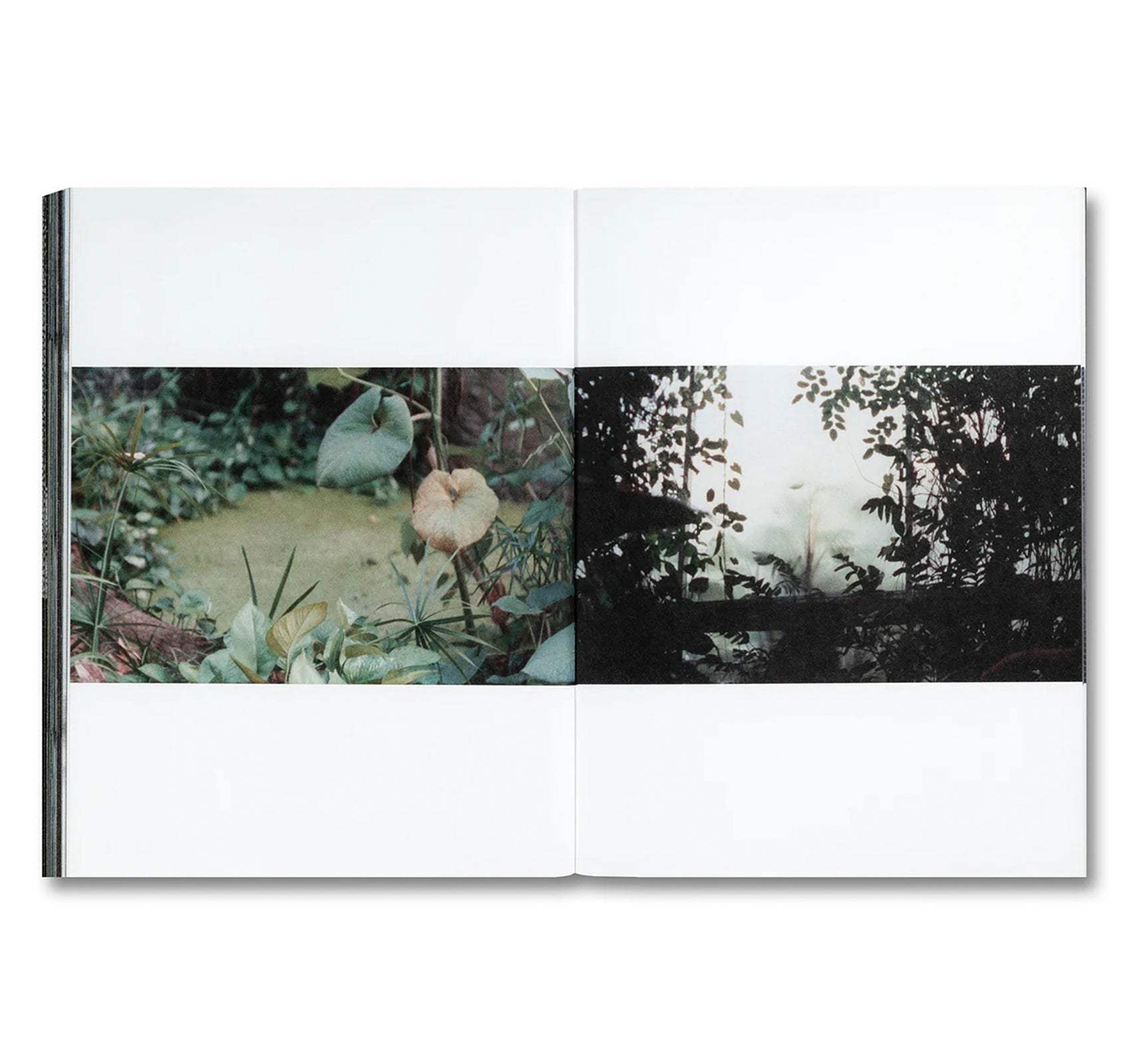 URTHWORKS by Ben Rivers