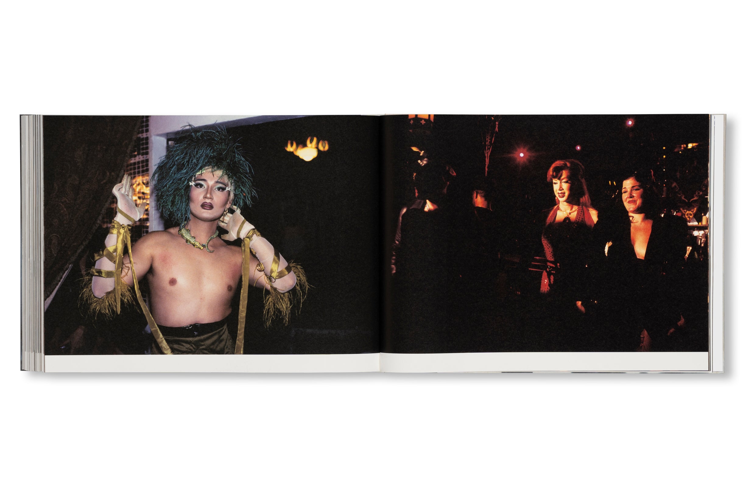 DANCING ON THE FAULT LINE by Nick Haymes