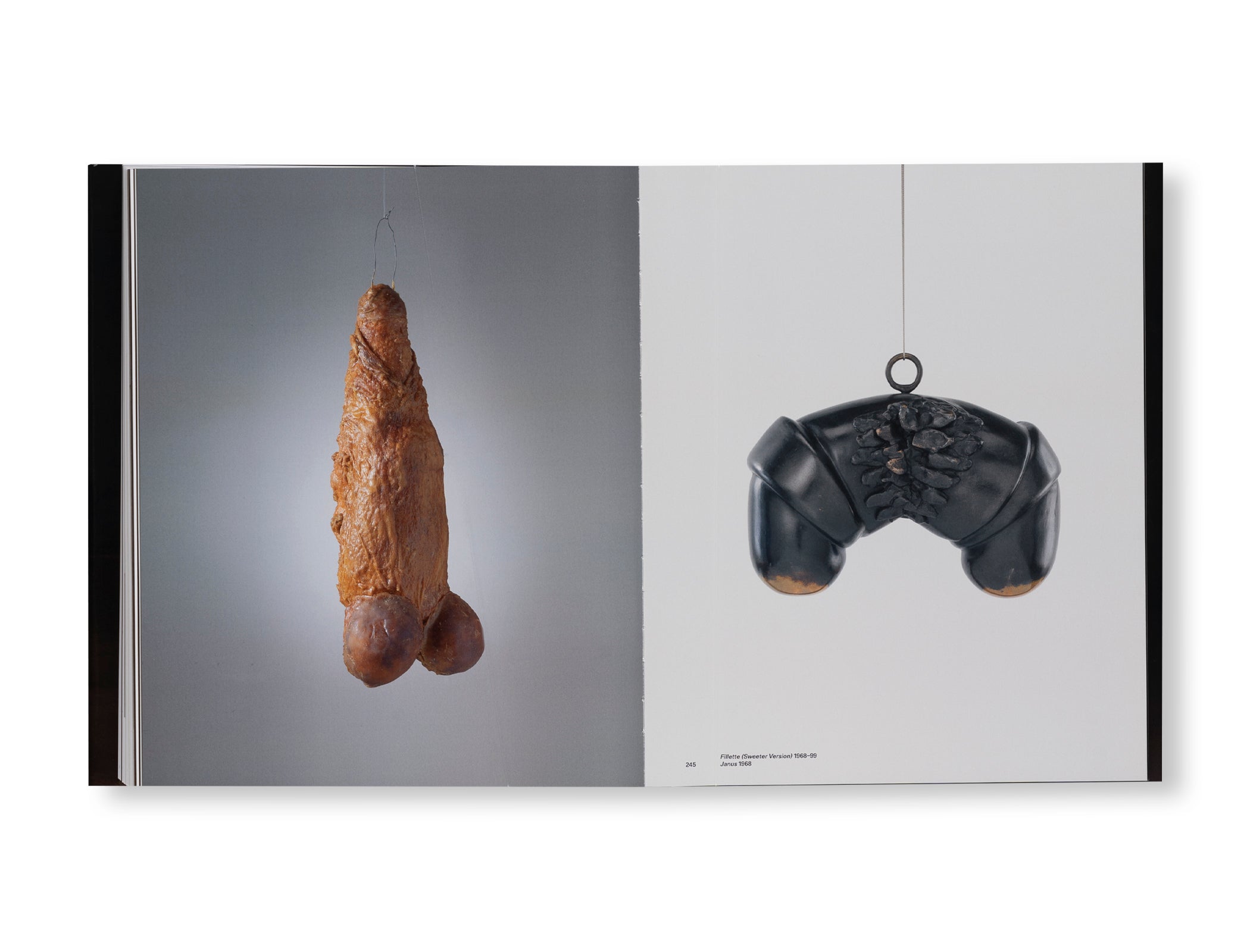 HAS THE DAY INVADED THE NIGHT OR HAS THE NIGHT INVADED THE DAY? by Louise Bourgeois
