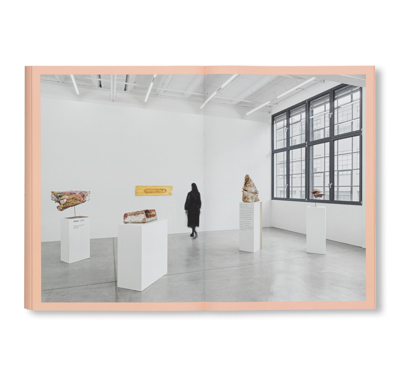 FRANZ WEST DIE FRUHEN WERKE / EARLY WORKS by Franz West