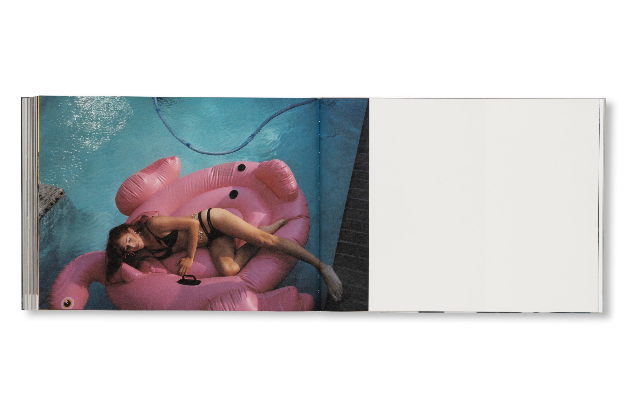 DANCING ON THE FAULT LINE by Nick Haymes