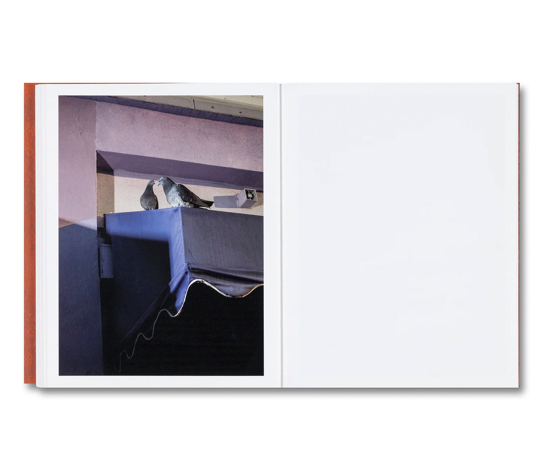 I’LL LET YOU BE IN MY DREAMS IF I CAN BE IN YOURS by Carolyn Drake, Andres Gonzalez