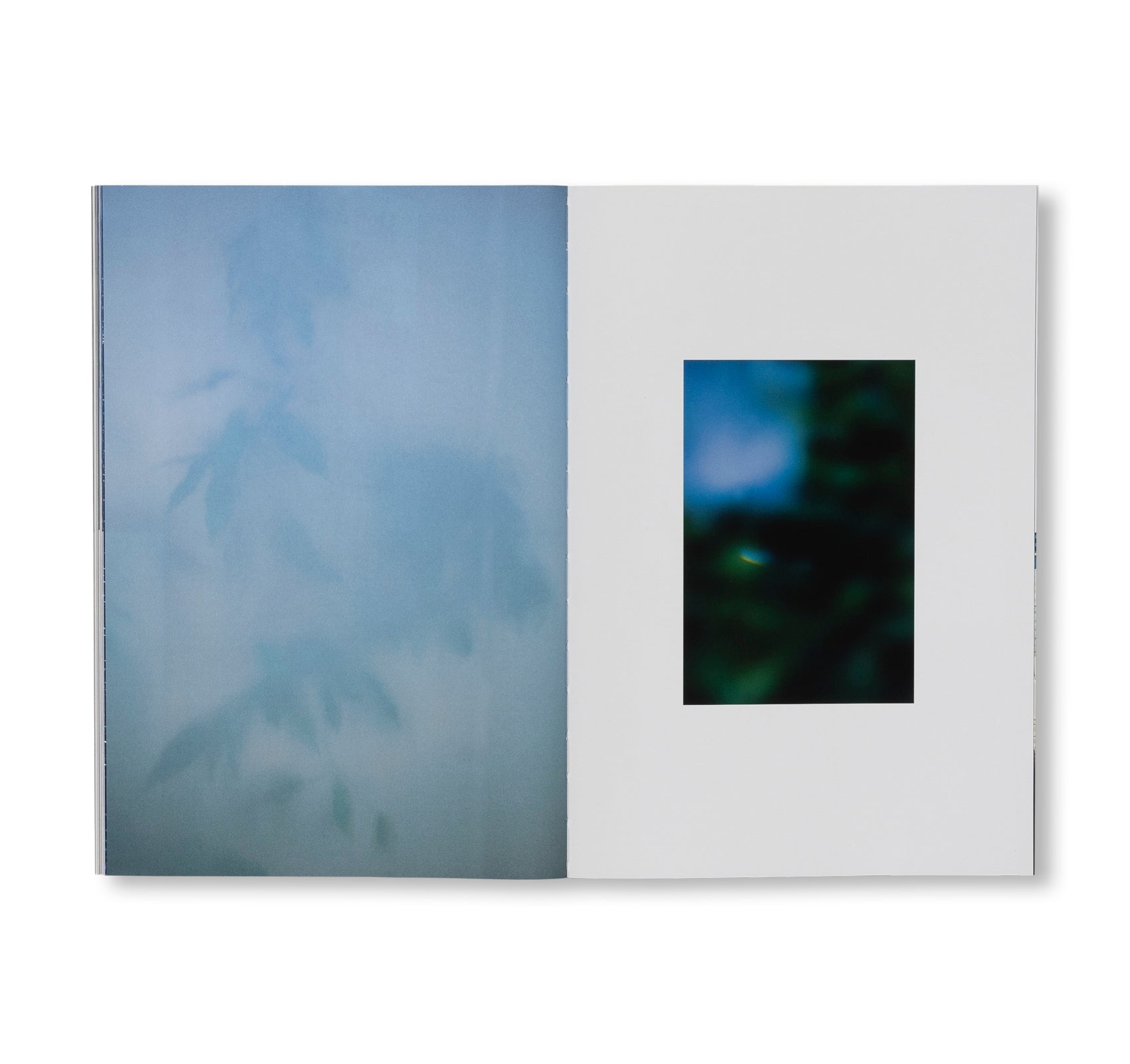 SEQUENCES by Yuichiro Noda