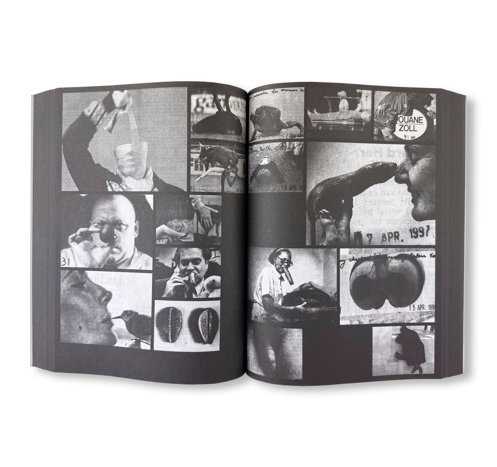 PROVISORIA by Ria Verhaeghe