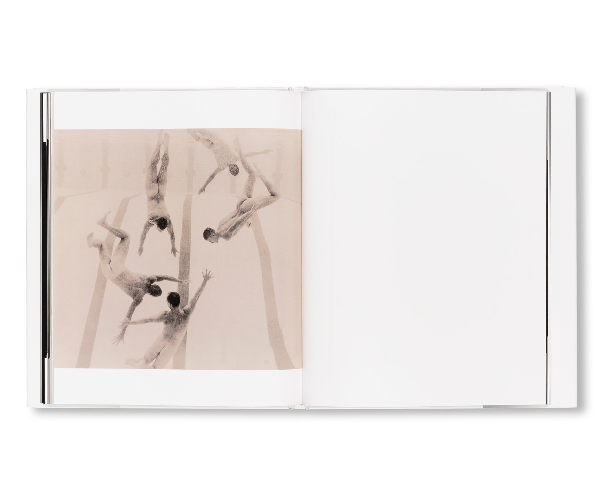 ATHLETES & GYMNASTS by Anderson & Low