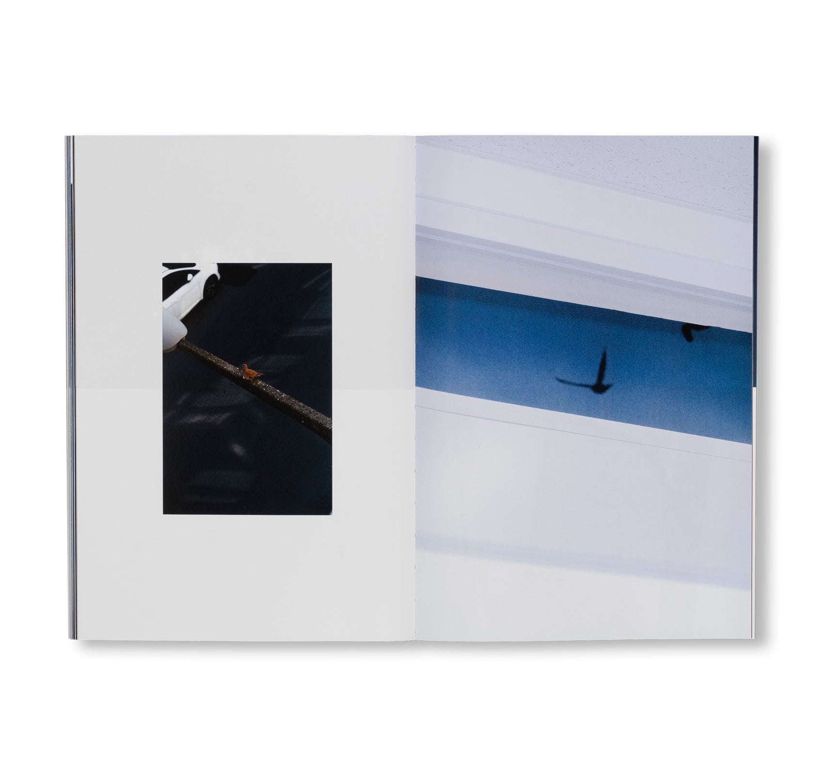 SEQUENCES by Yuichiro Noda