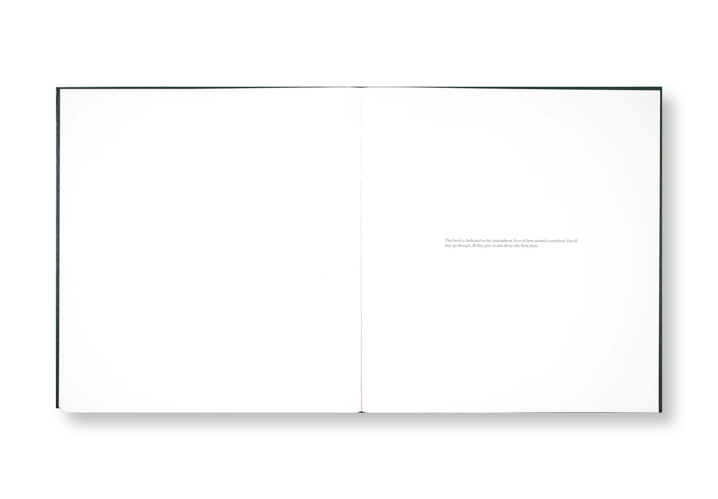 ON THE SIXTH DAY by Alessandra Sanguinetti