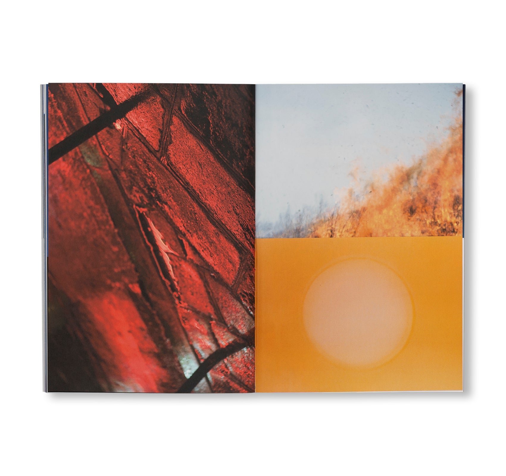 SEQUENCES by Yuichiro Noda