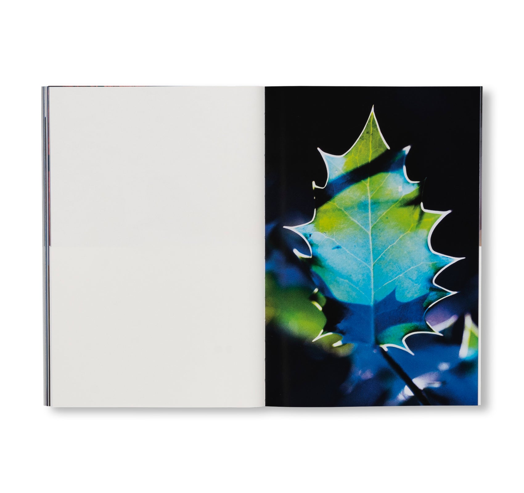 SEQUENCES by Yuichiro Noda