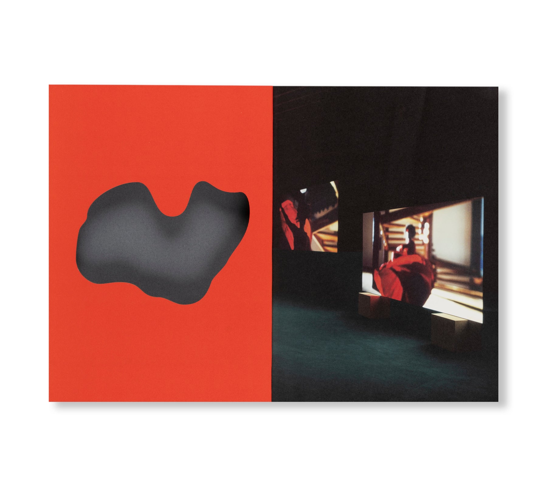 LINA BO BARDI - A MARVELLOUS ENTANGLEMENT by Isaac Julien