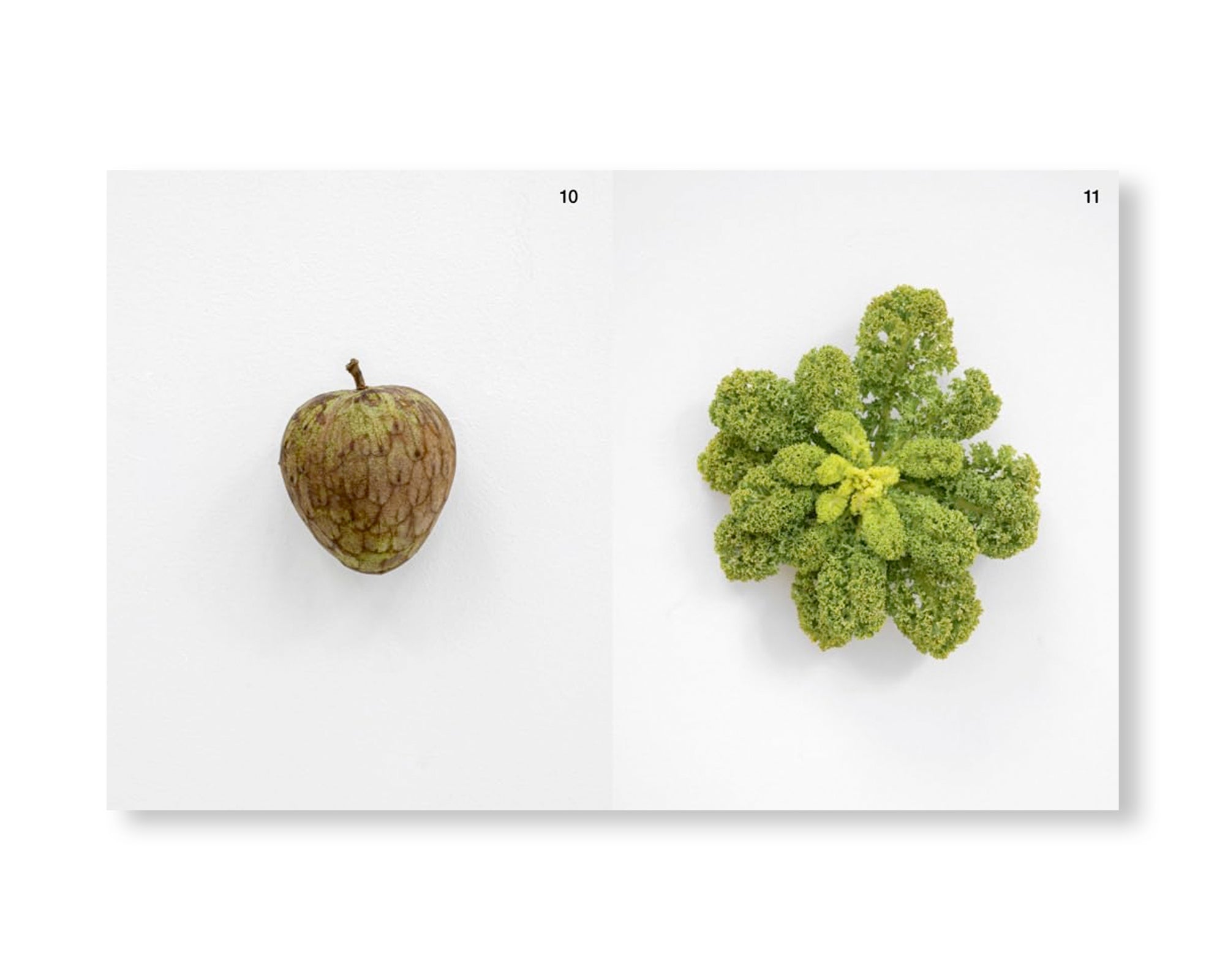 ARCH+ 255: ARCH+KUNST KARIN SANDER