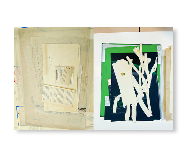 AP205 AMANCIO WILLIAMS: READINGS OF THE ARCHIVE by Amancio