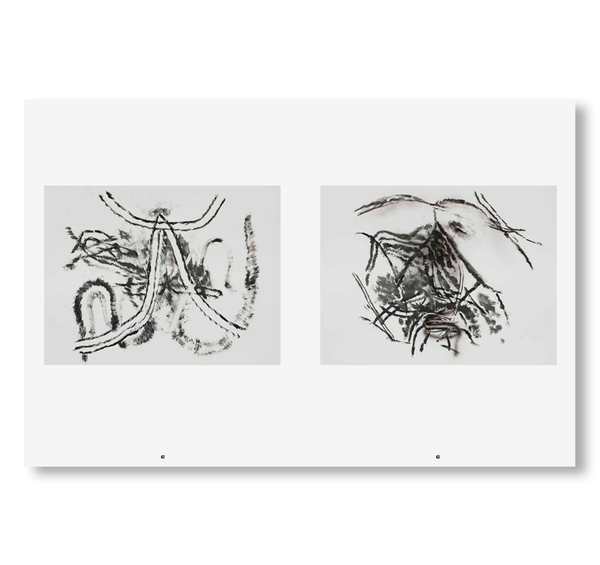 DRAWINGS AND MONOTYPES by Julie Mehretu – twelvebooks