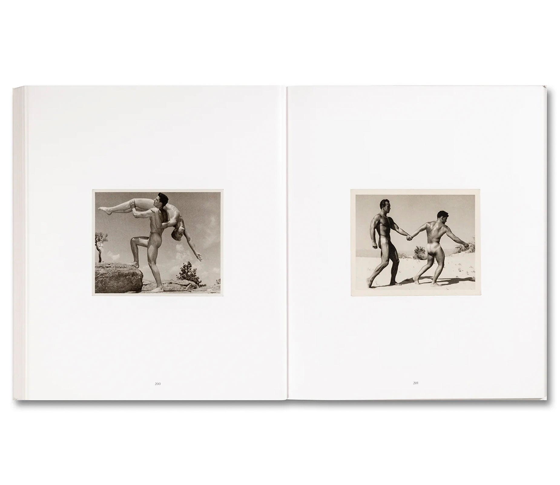 PHYSIQUE by Vince Aletti