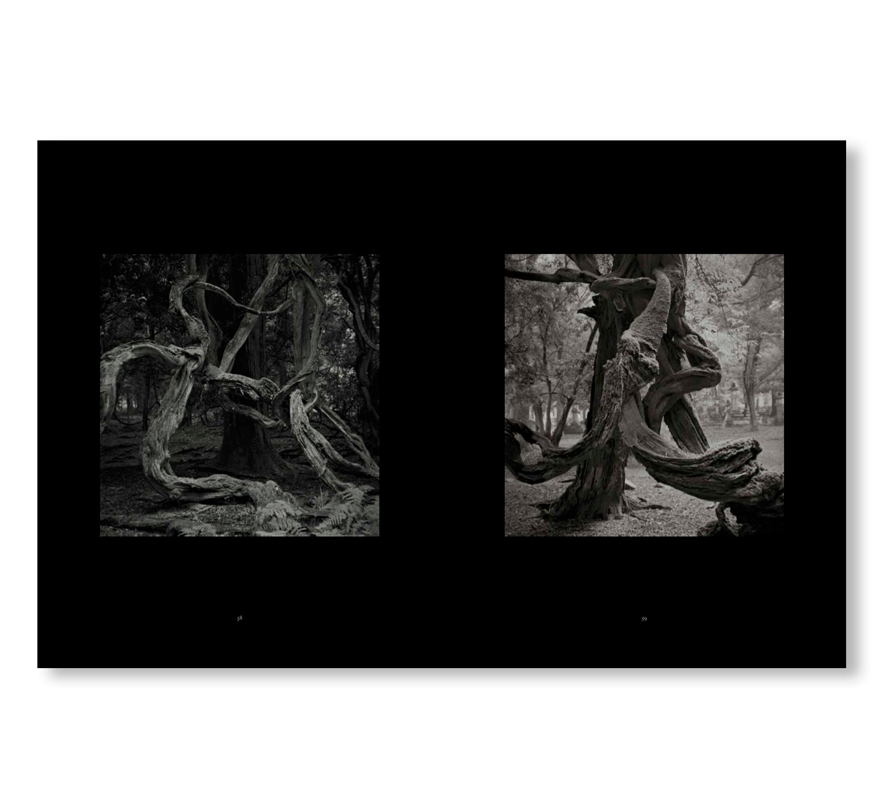 MONO NO AWARE・BEAUTY OF IMPERMANENCE by Kenro Izu