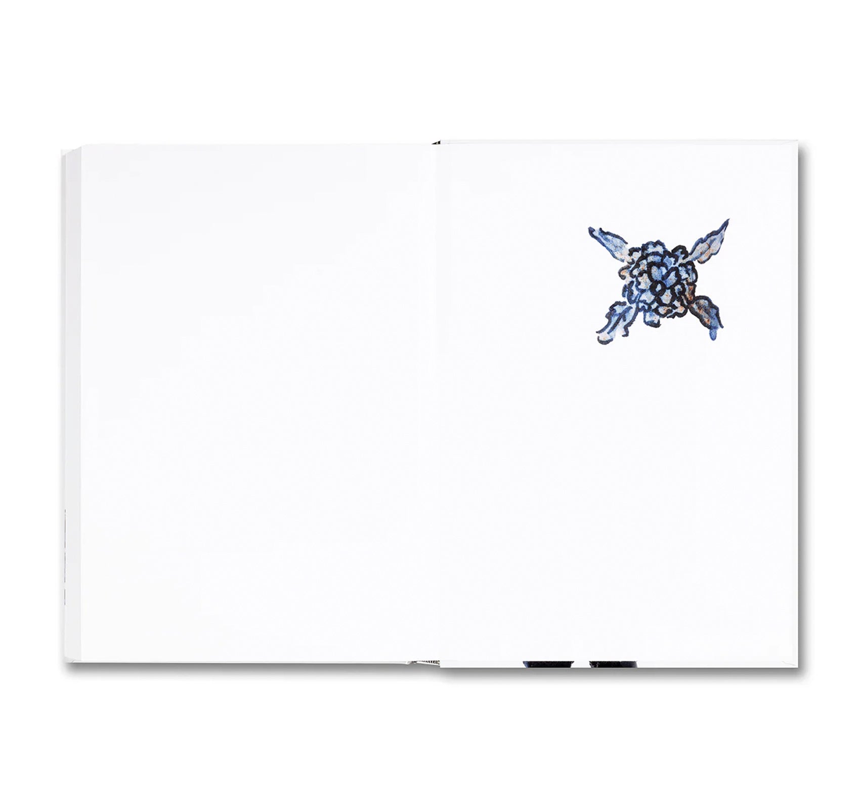 MAGDALENA SUAREZ FRIMKESS by Magdalena Suarez Frimkess