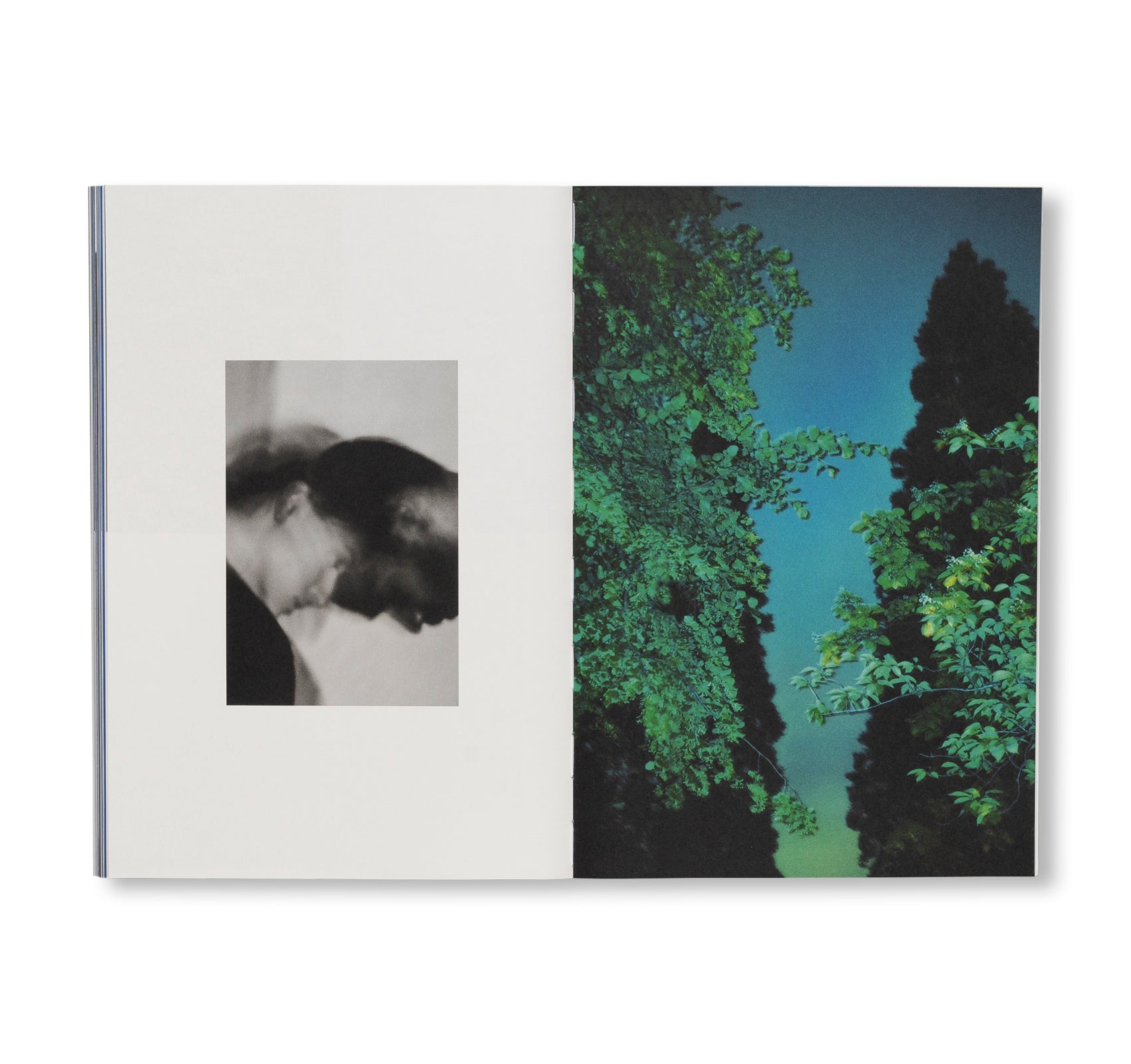 SEQUENCES by Yuichiro Noda