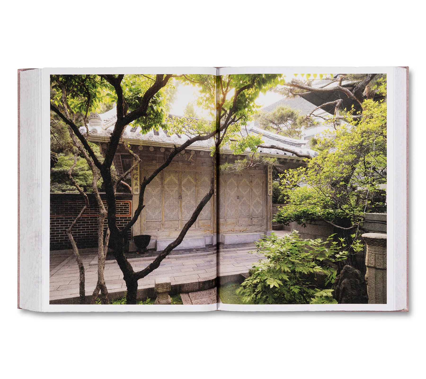 ANATOMY by Do Ho Suh