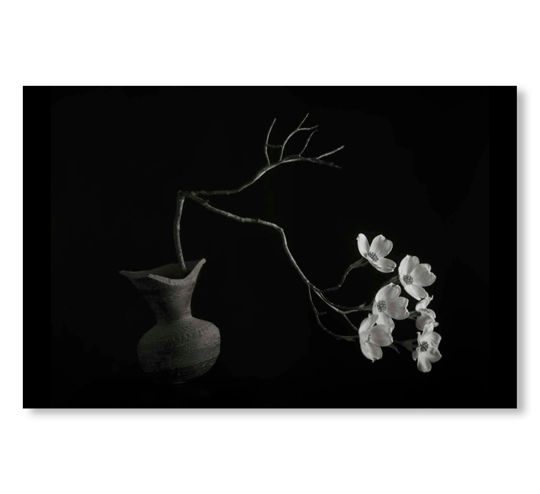 MONO NO AWARE・BEAUTY OF IMPERMANENCE by Kenro Izu