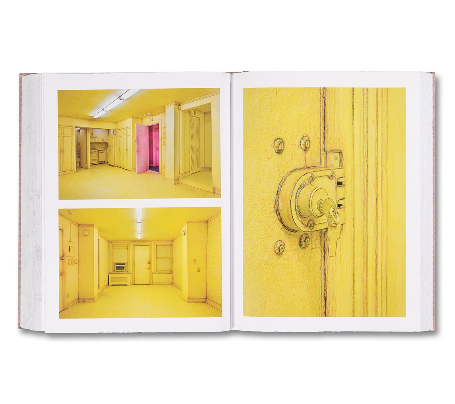 ANATOMY by Do Ho Suh