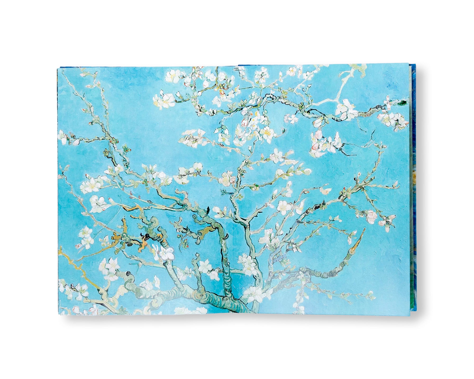 VAN GOGH - THE ESSENTIAL PAINTINGS by Valérie Mettais