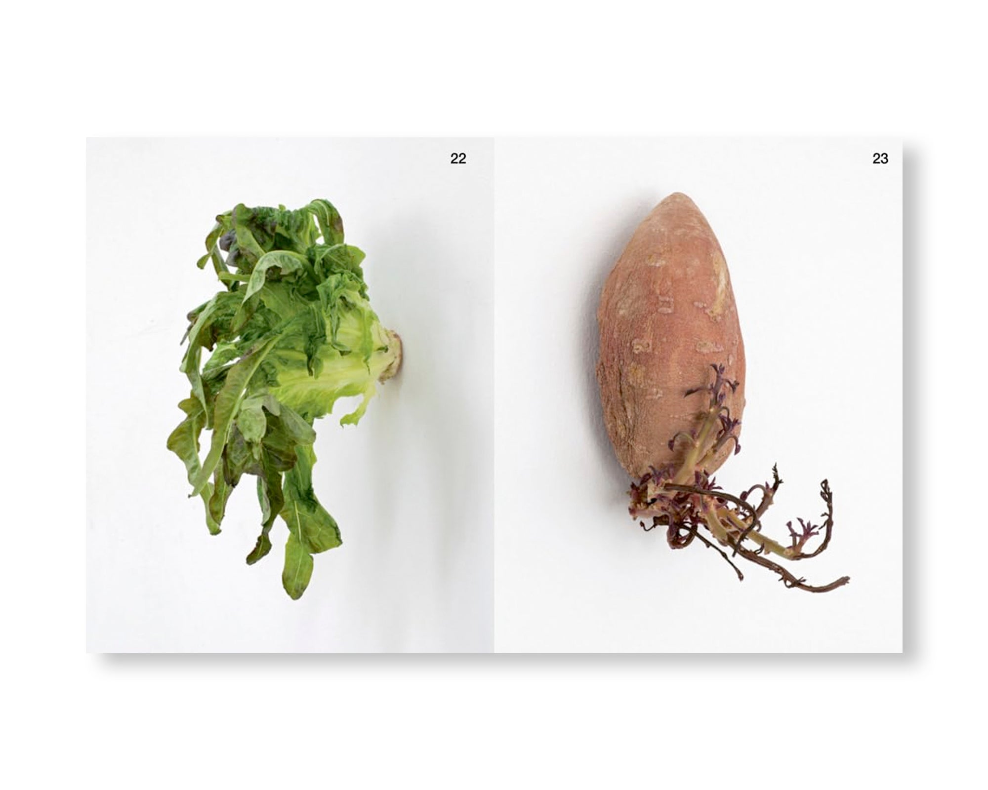 ARCH+ 255: ARCH+KUNST KARIN SANDER