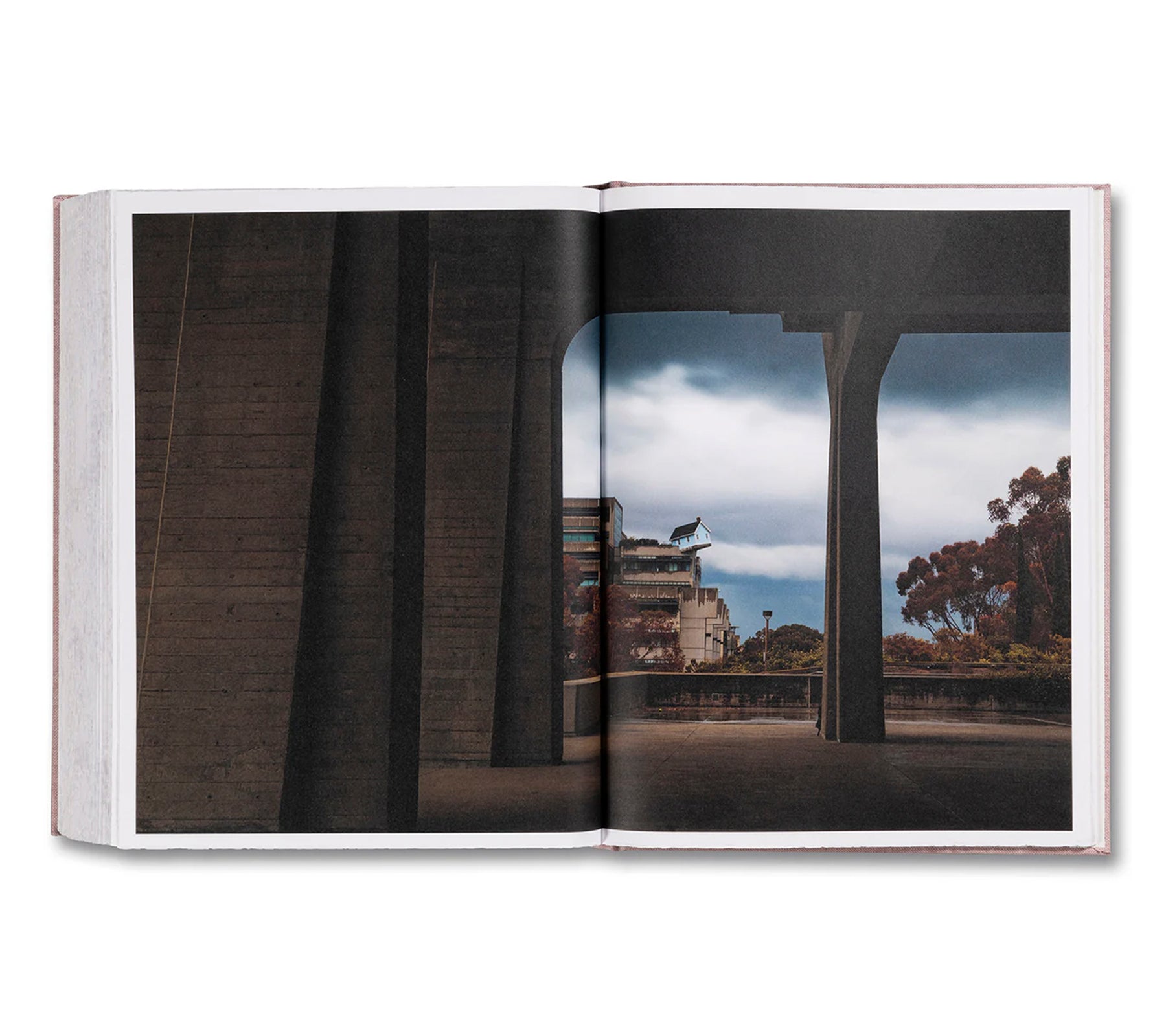 ANATOMY by Do Ho Suh