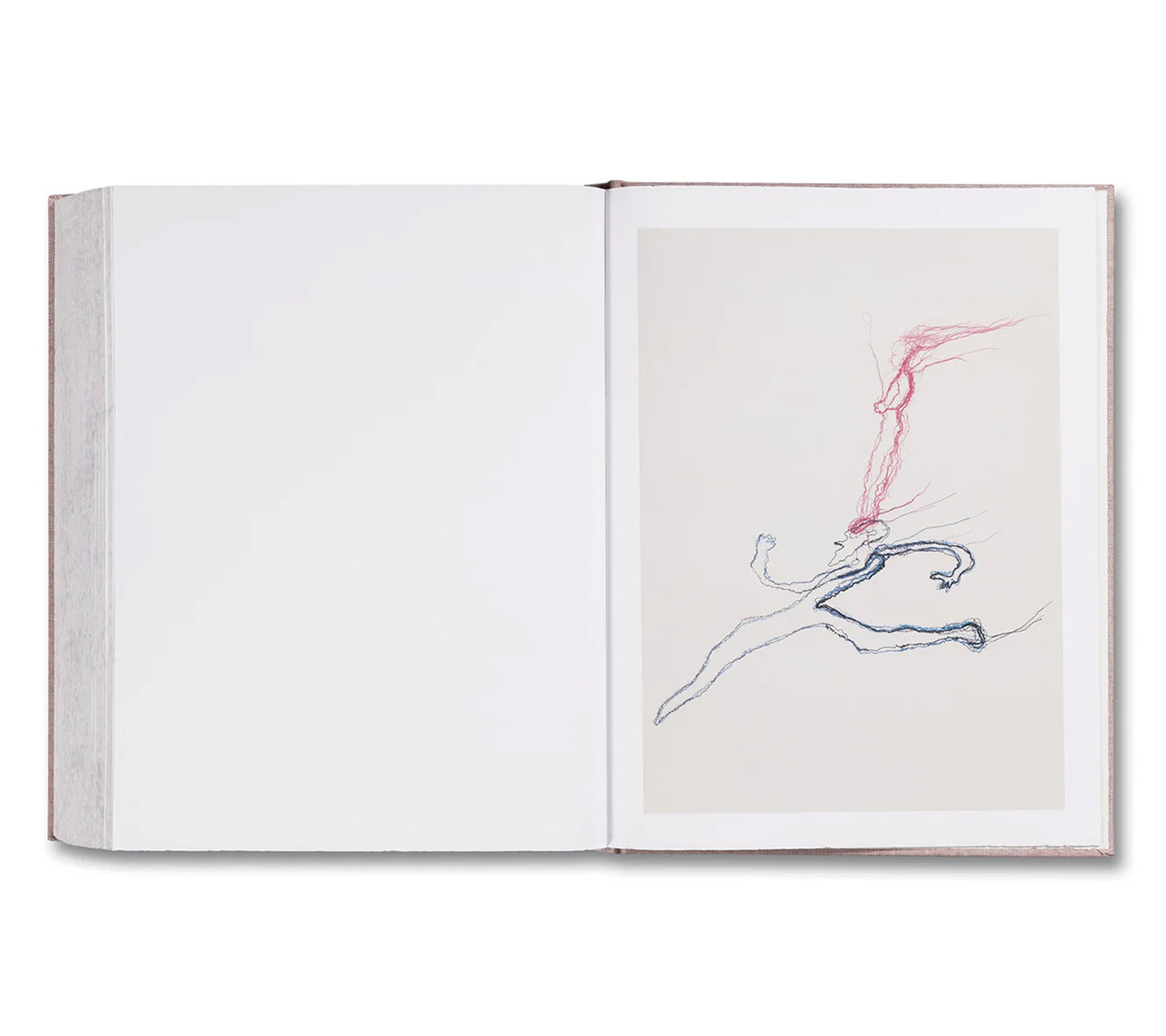 ANATOMY by Do Ho Suh