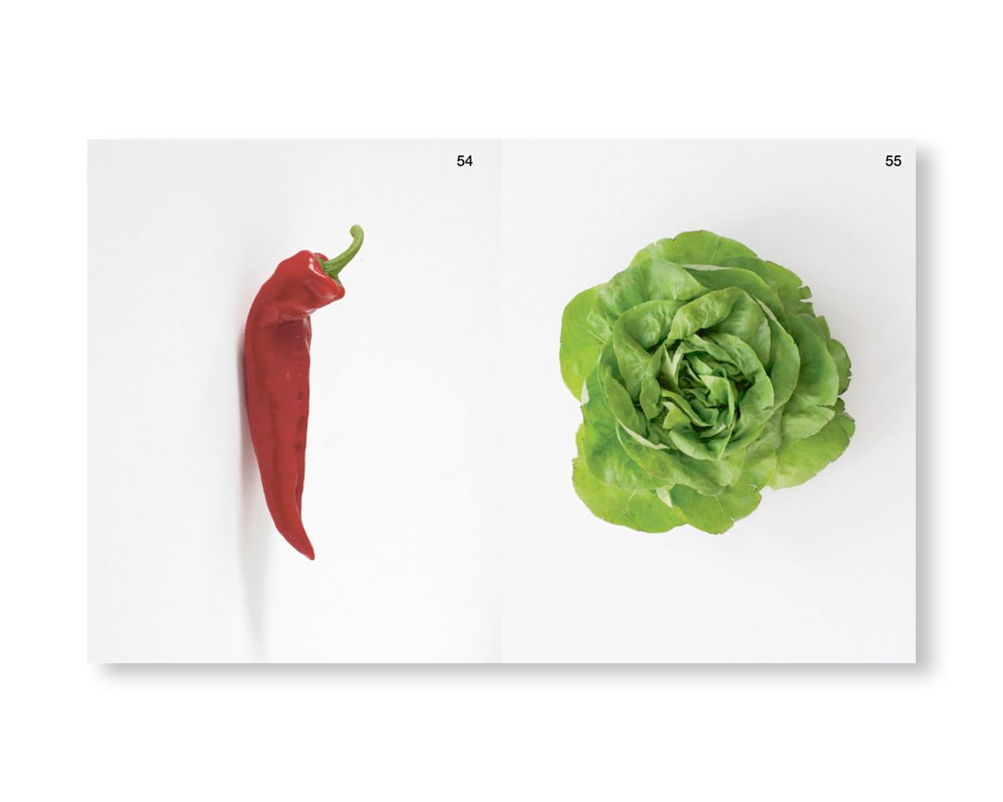 ARCH+ 255: ARCH+KUNST KARIN SANDER