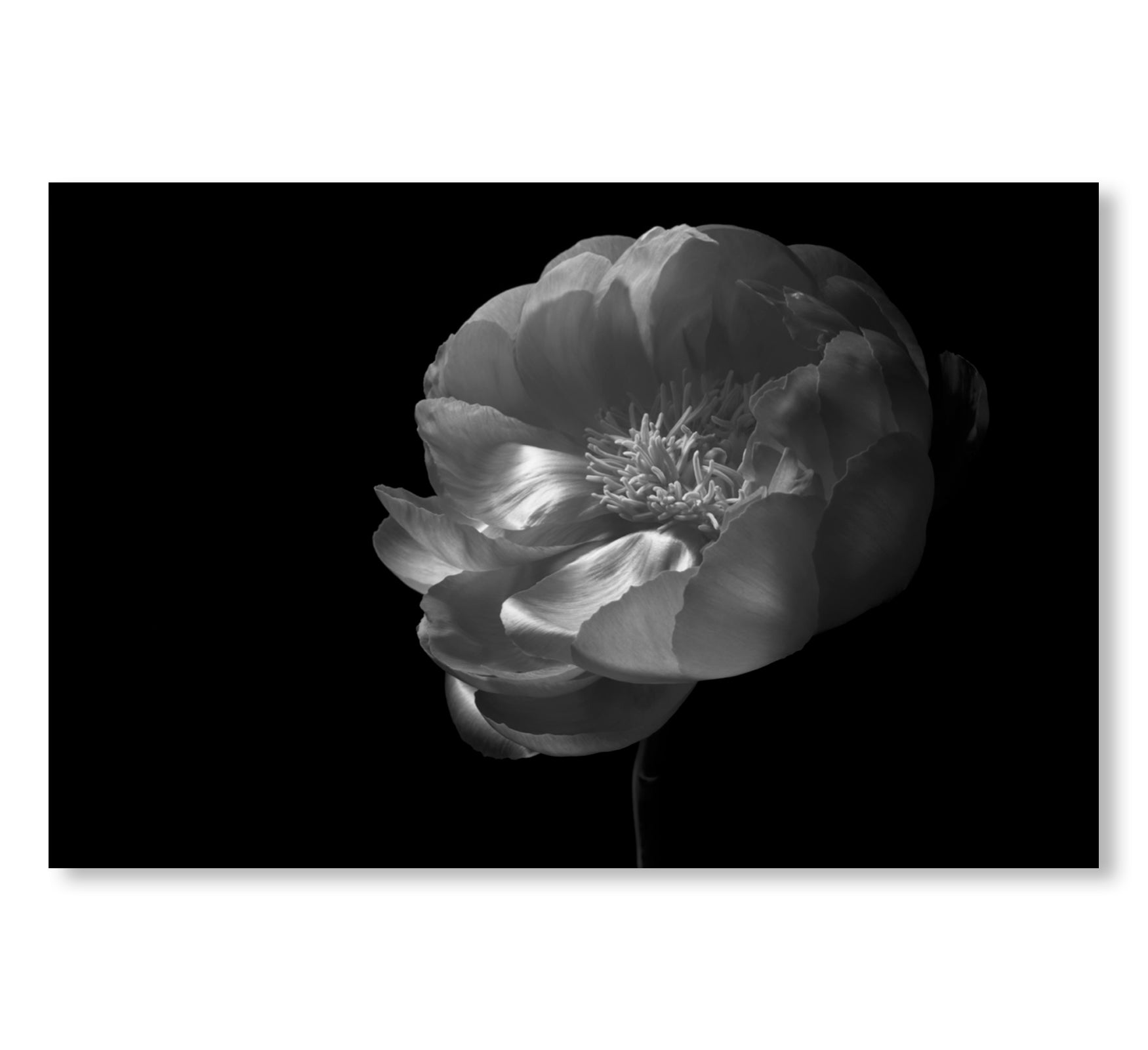 MONO NO AWARE・BEAUTY OF IMPERMANENCE by Kenro Izu