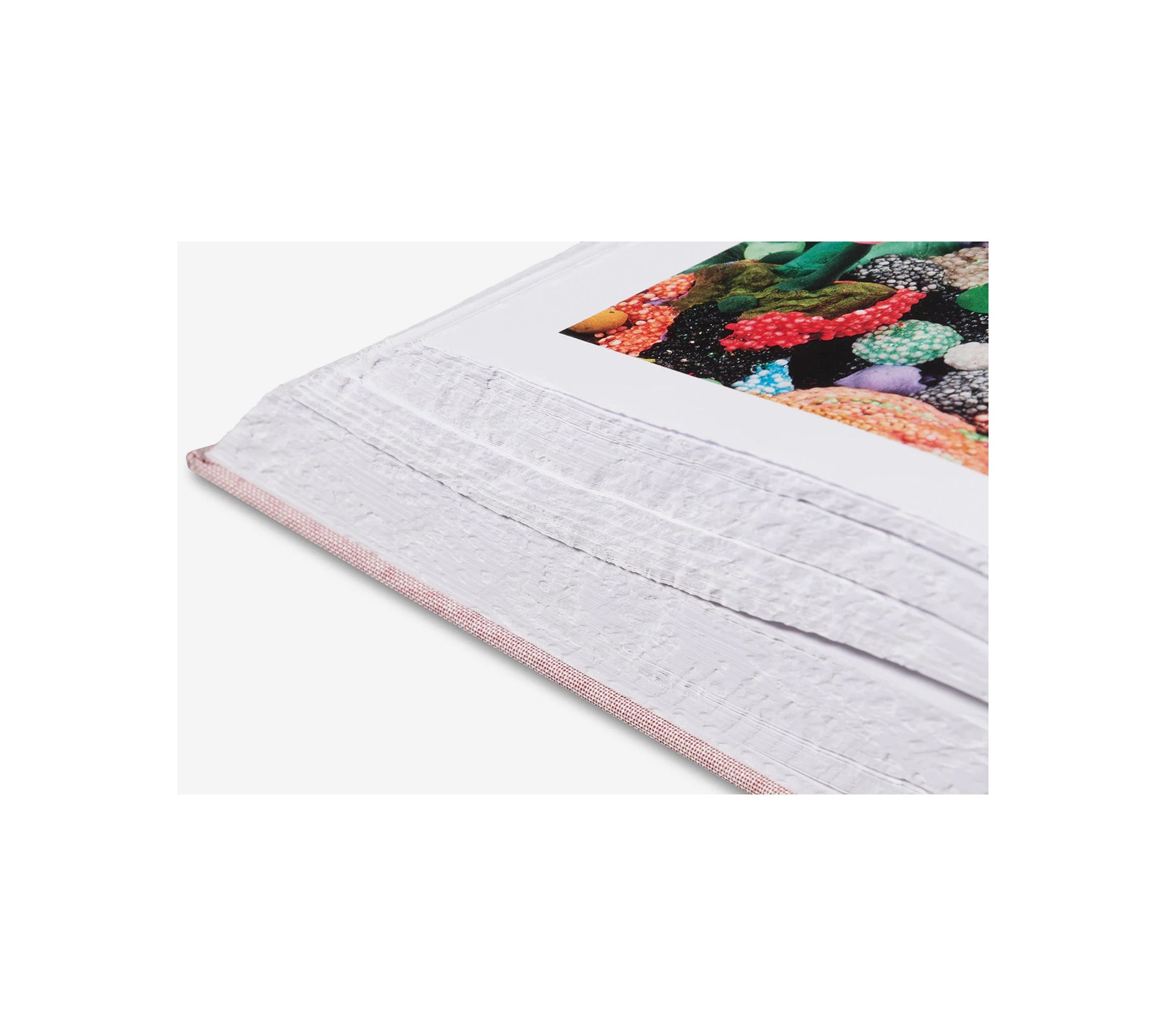 ANATOMY by Do Ho Suh