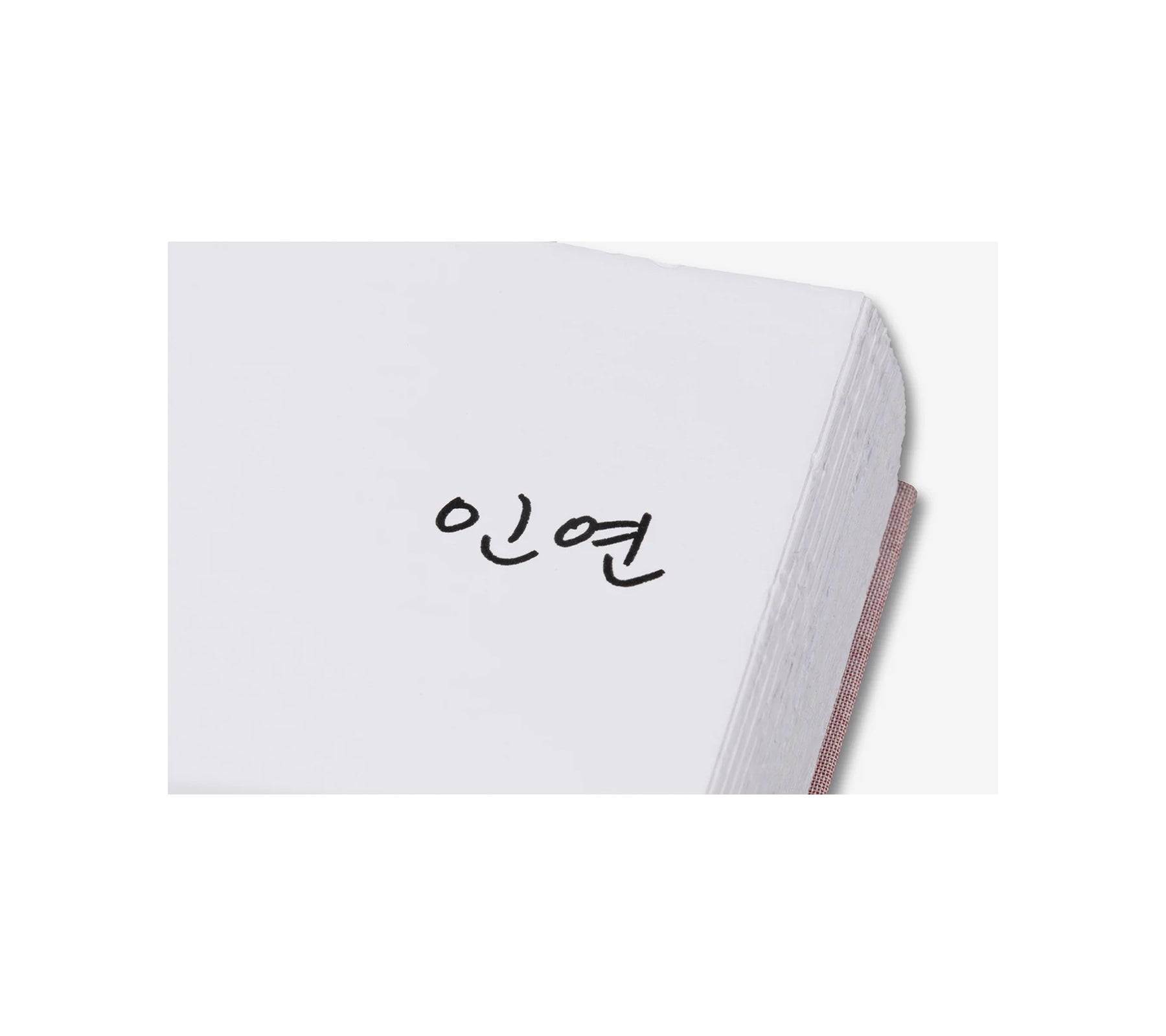 ANATOMY by Do Ho Suh