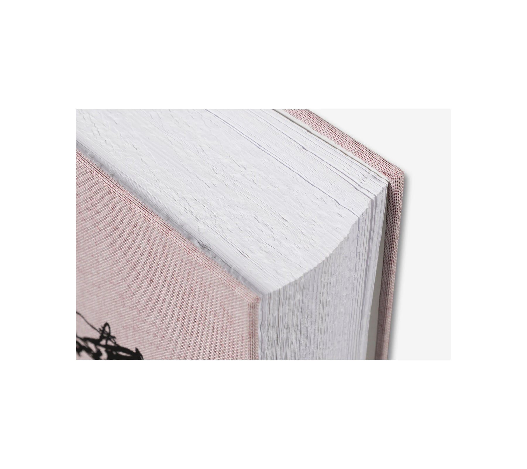 ANATOMY by Do Ho Suh