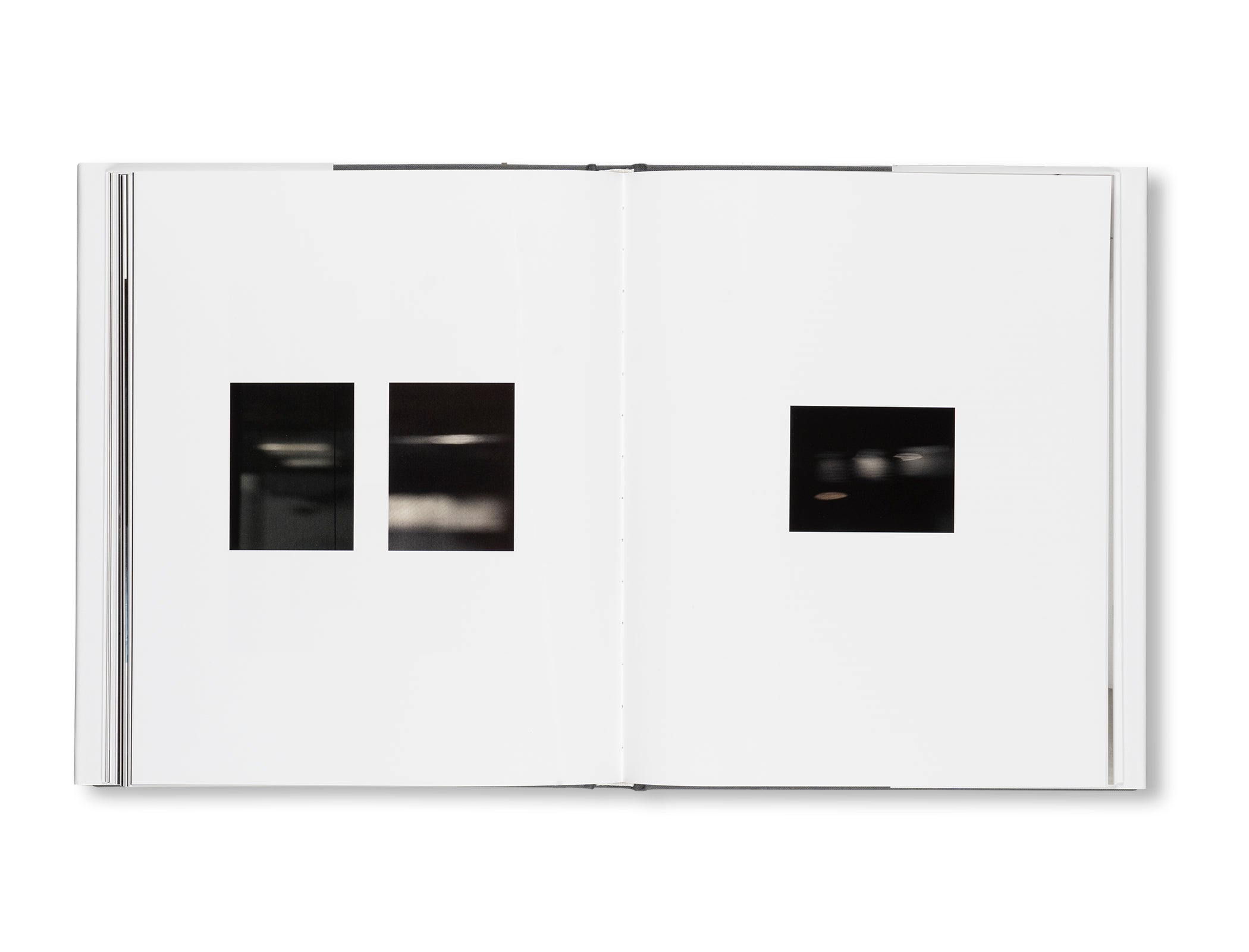 AVAILABLE LIGHT by Zoe Leonard