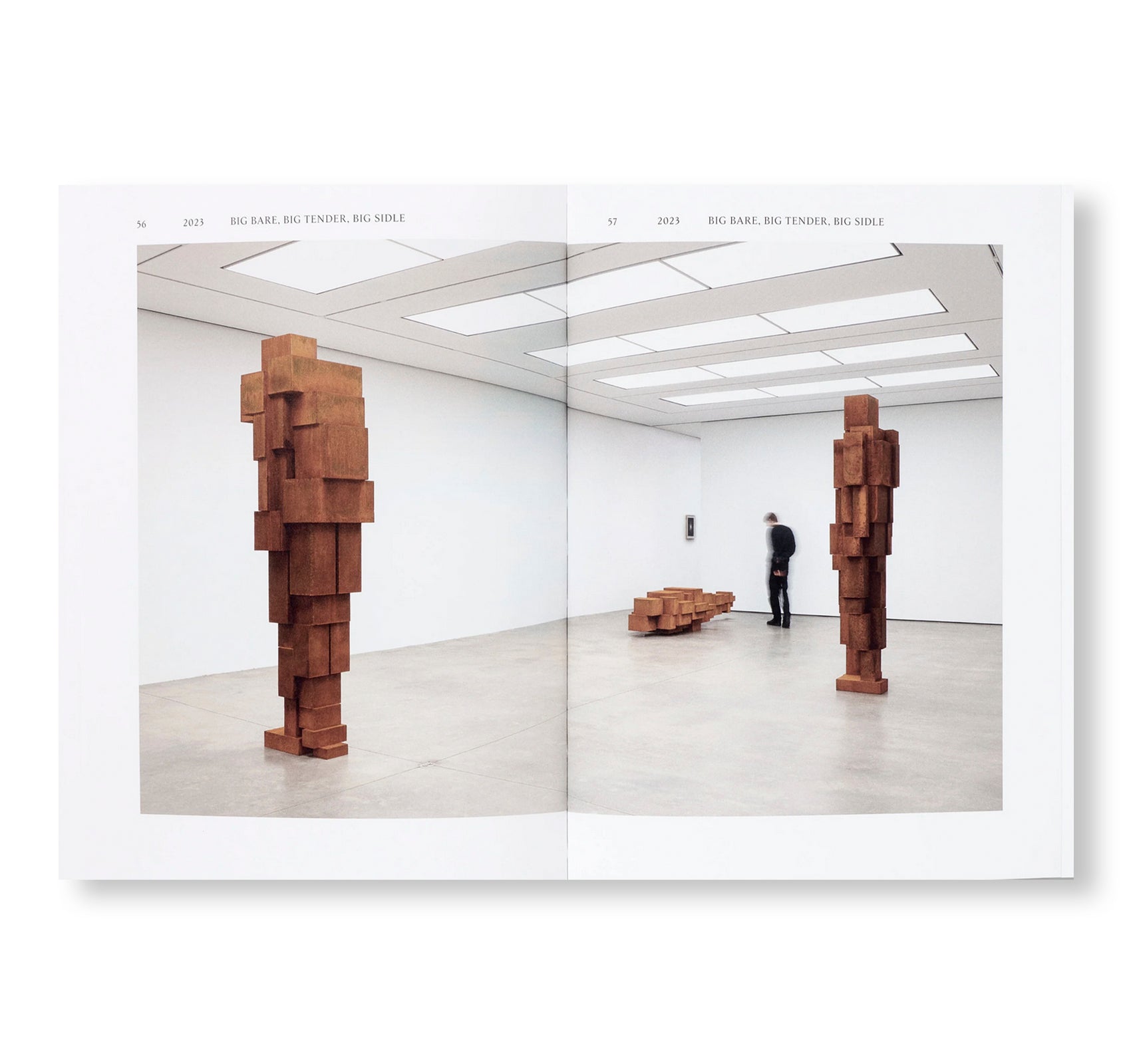 AERIAL by Antony Gormley